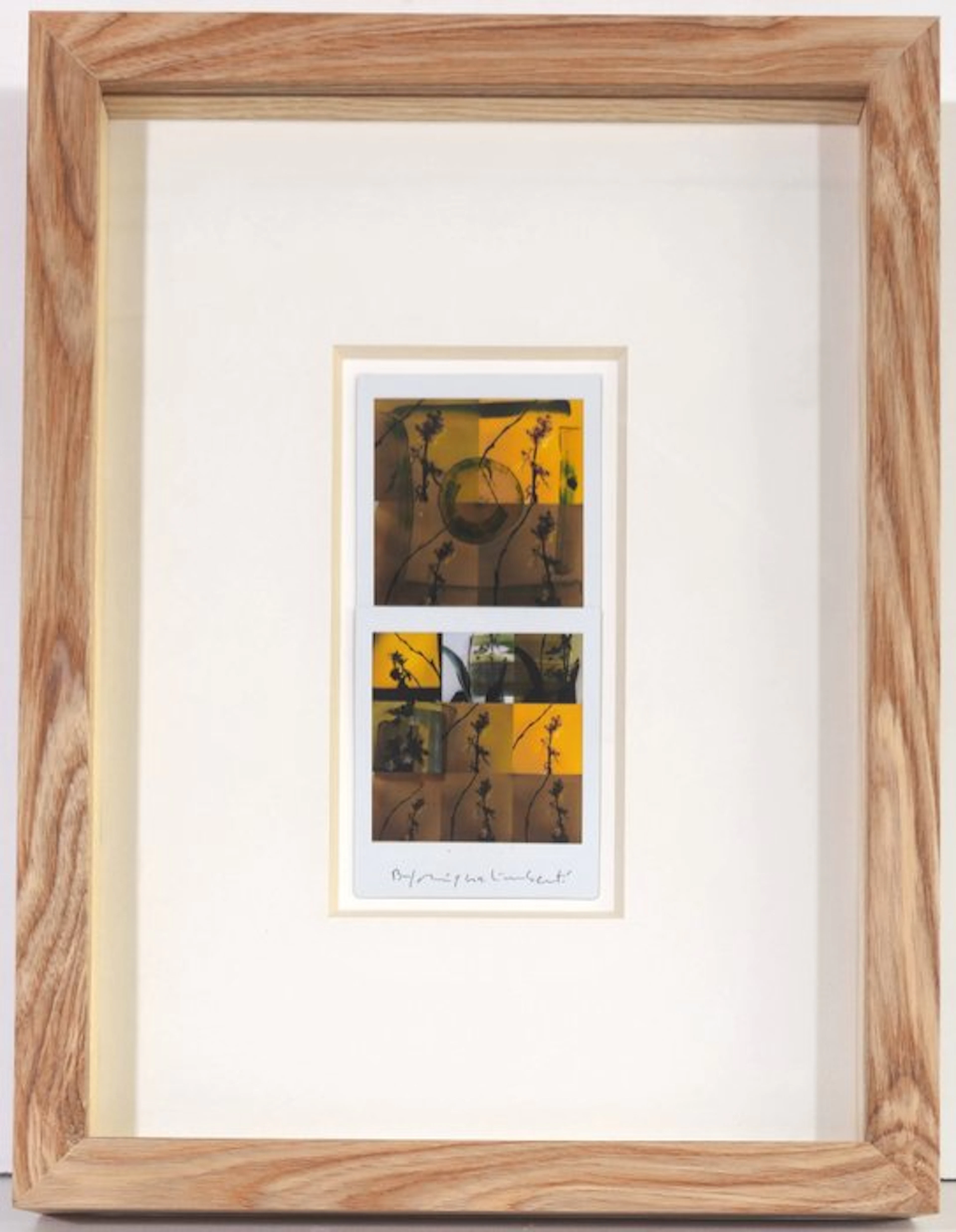 Maurizio Galimberti (1956–) - BiFlowers - 11468