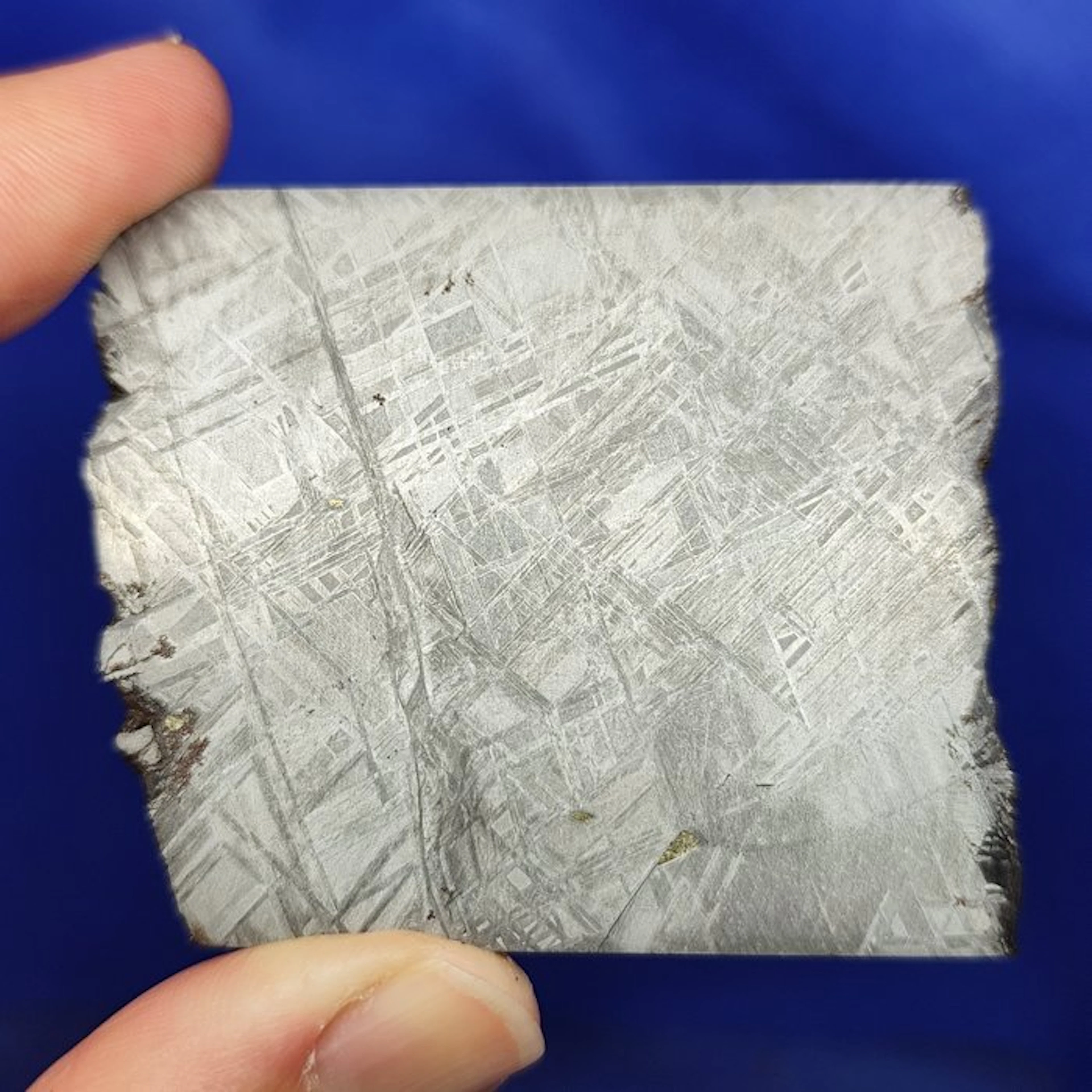 Amazing XL Muonionalusta METEORITE Slice (Sweden