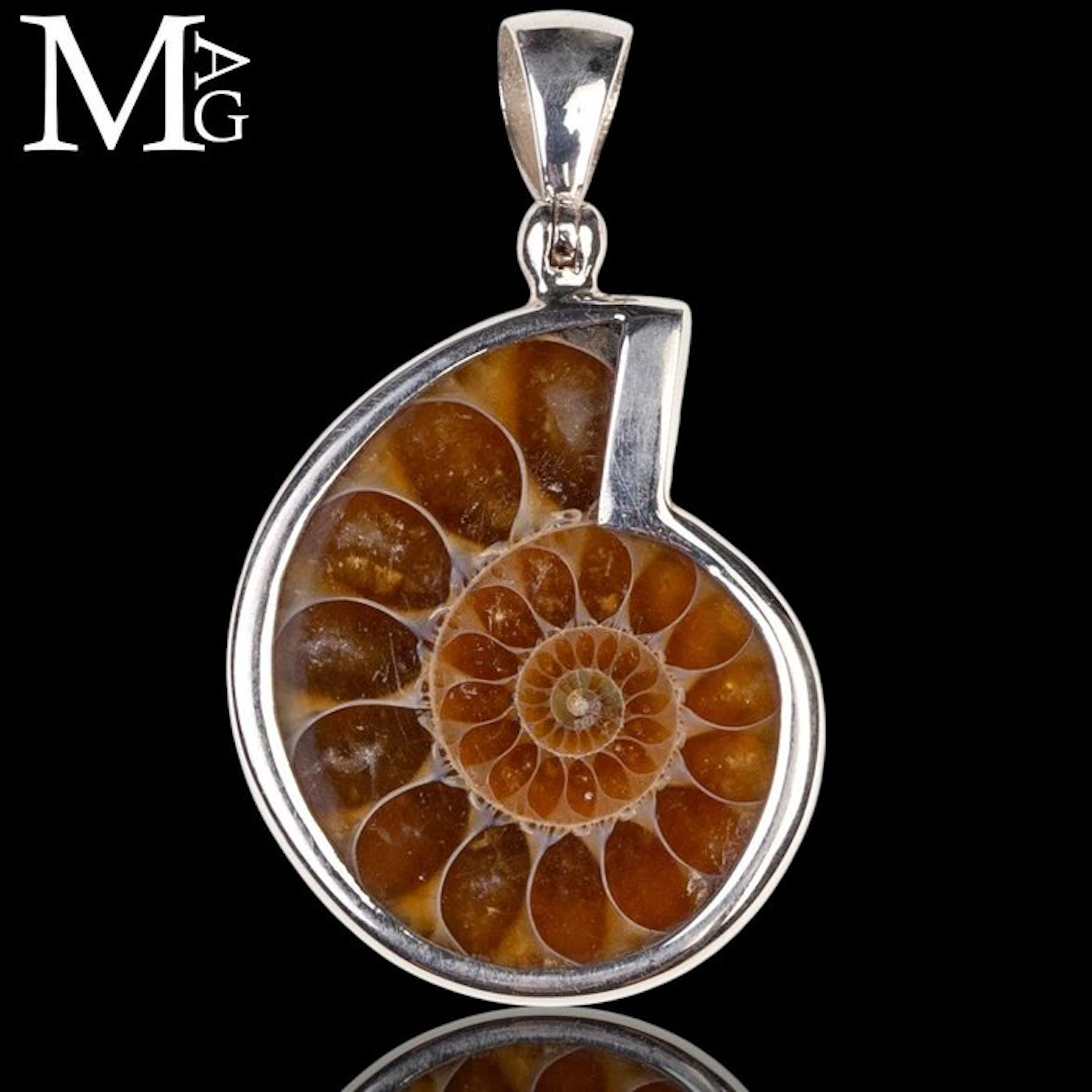 Fossil Cleoniceras Ammonite Jurassic Jewellery Collection...