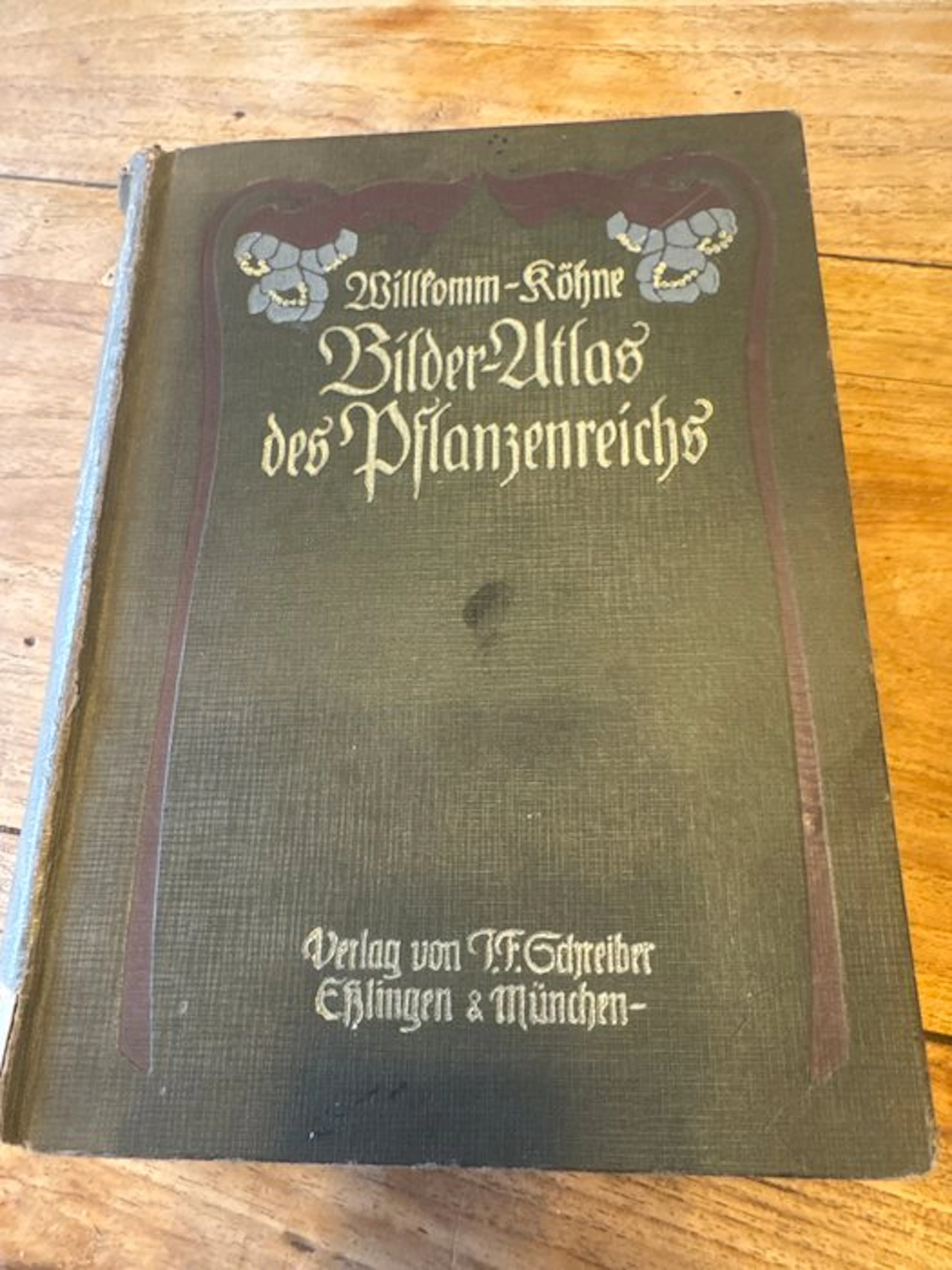 Dr Morris Willkomm - Bilder-Atlas des Planzenreichs - 1909-1909