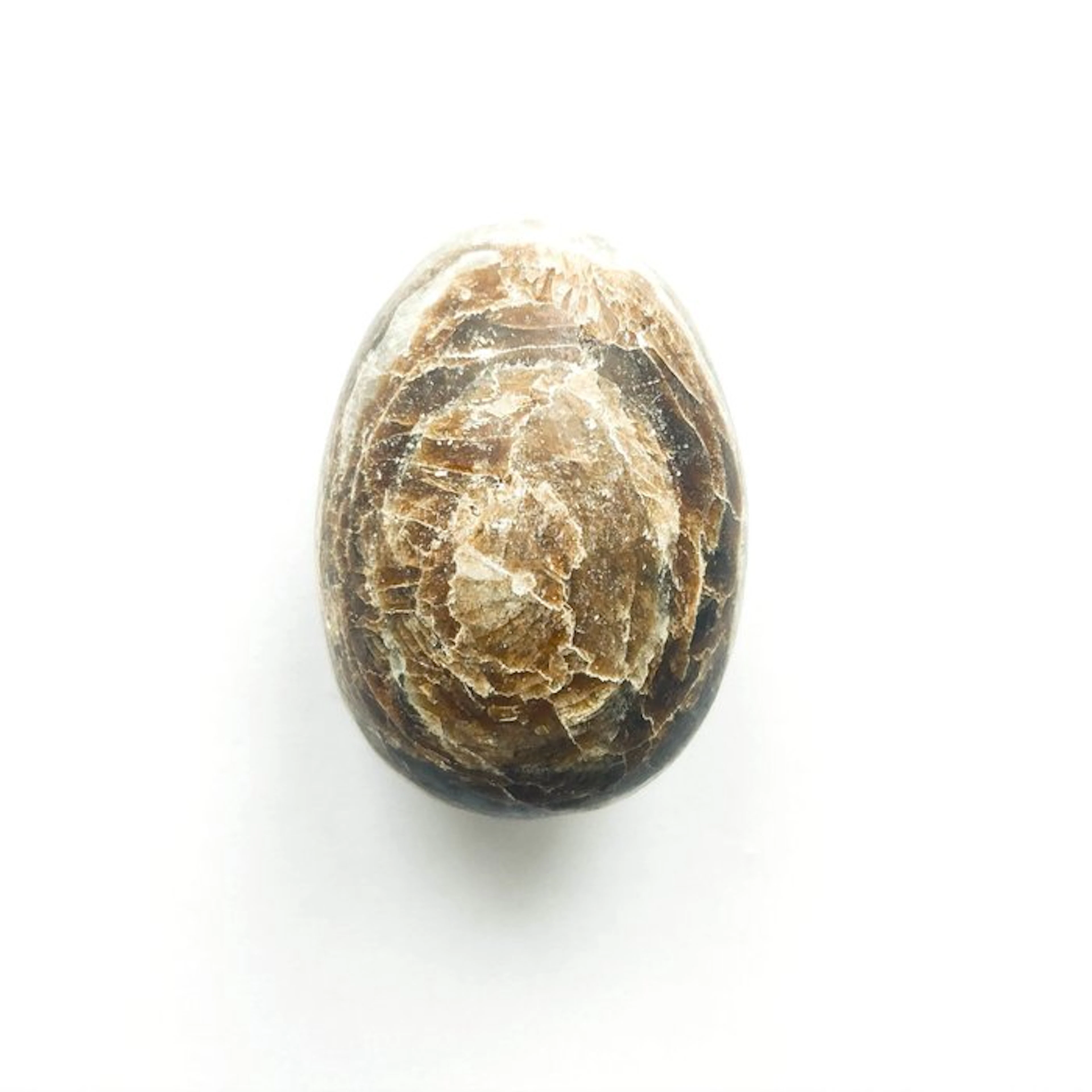 Tibetan or Nepalese Natural Banded Agate Ritual Bead Egg...