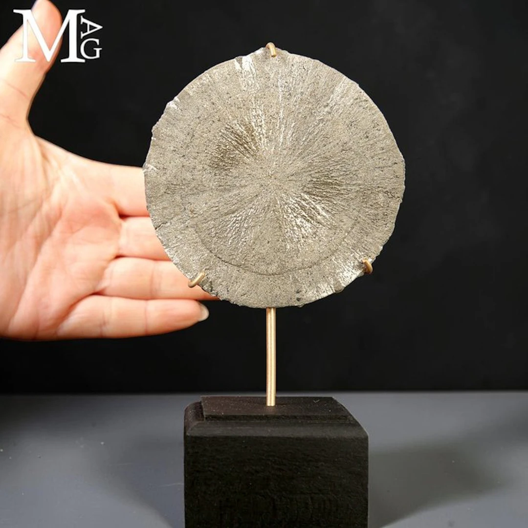 Natural Rare Pyrite Formation Pirite Sun - Pyrite Dollar...