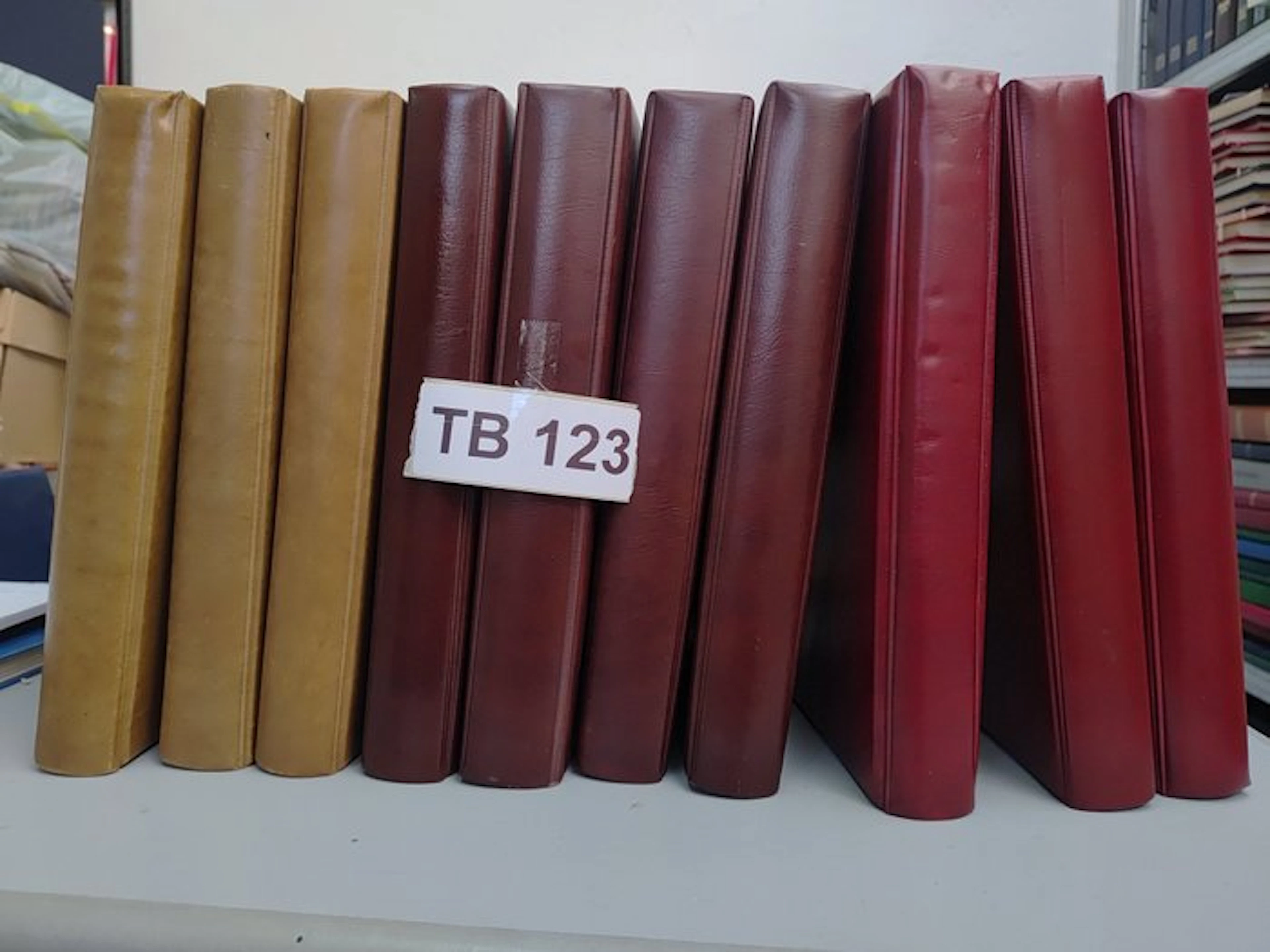 Accessories - 10 Safe albums in A5 format