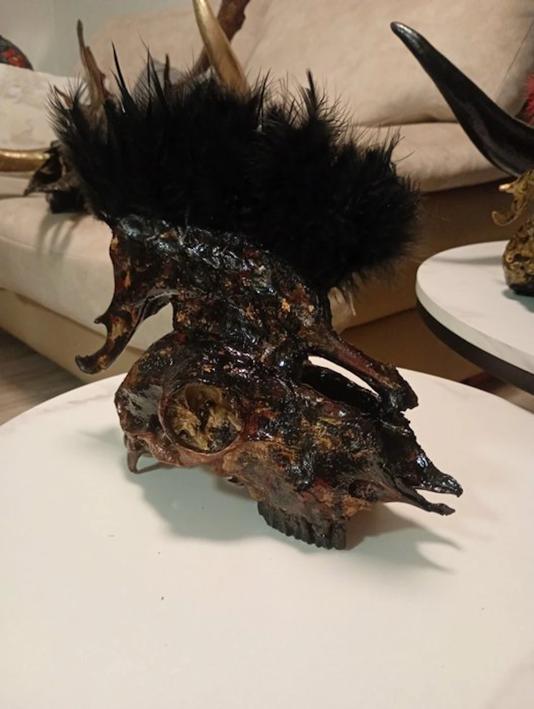 Sheep Mammal skull - Ovis aries - 30 cm - 15 cm - 30 cm - (1)