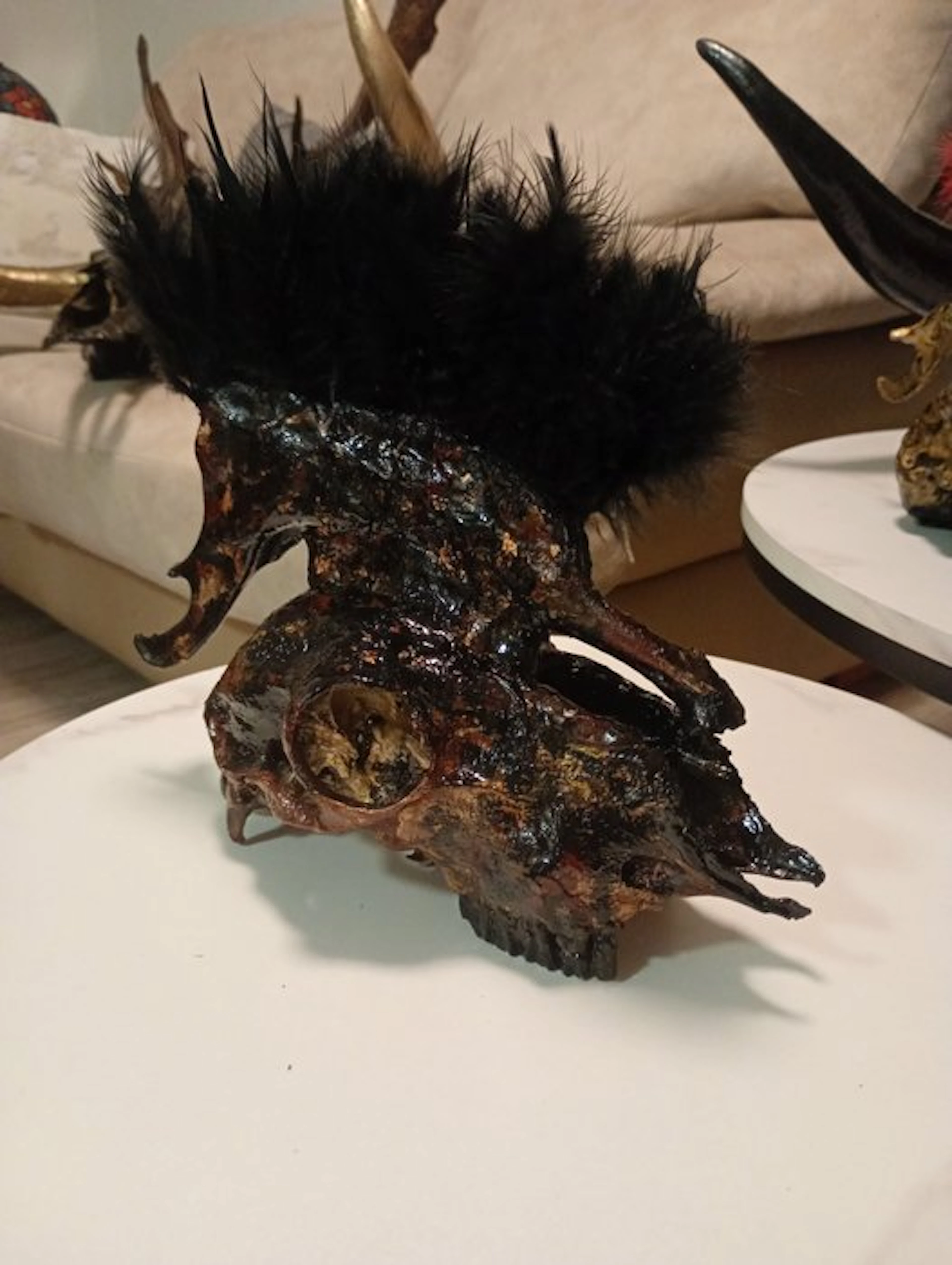 Sheep Mammal skull - Ovis aries - 30 cm - 15 cm - 30 cm - (1)