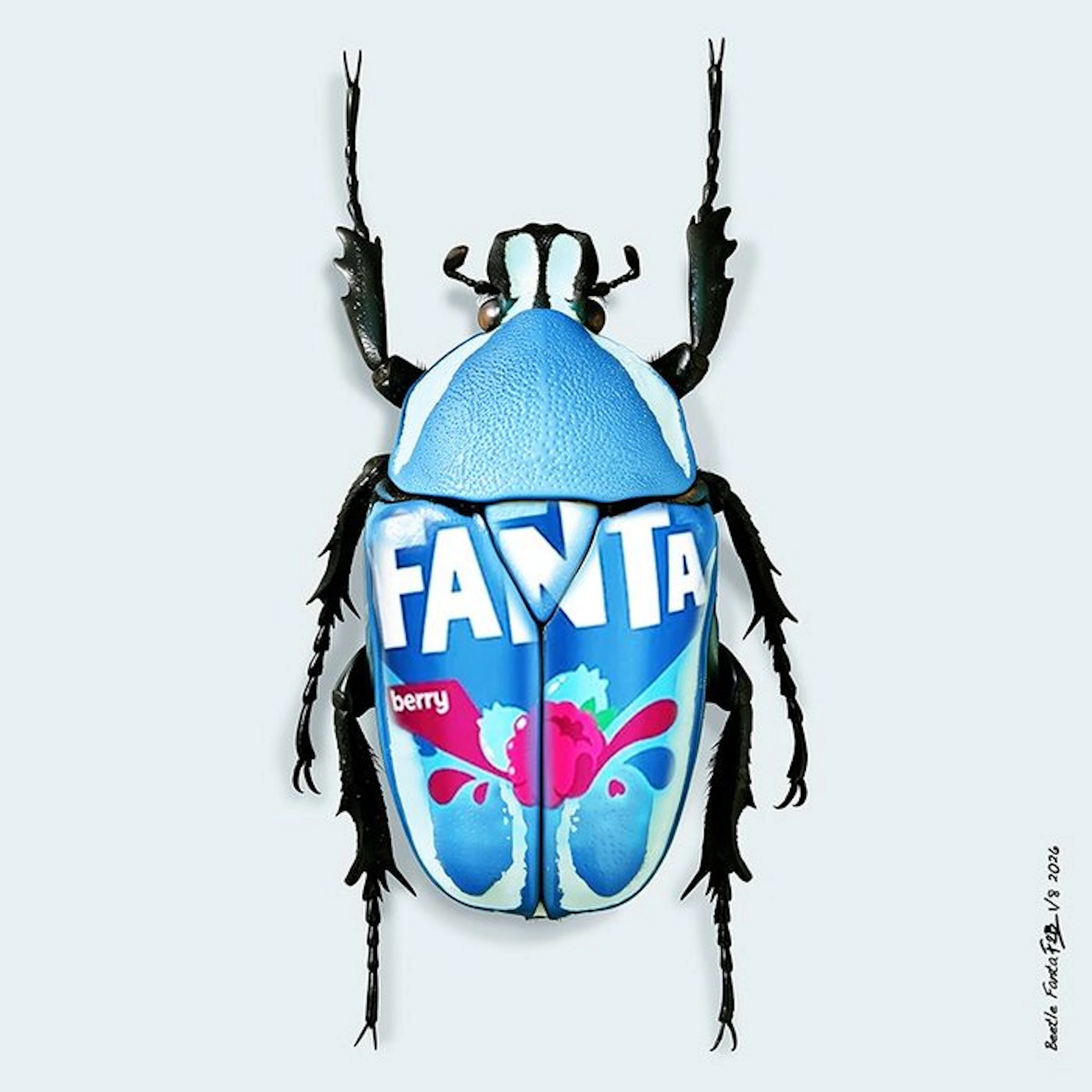 F2B - Beetle Fanta 1I8