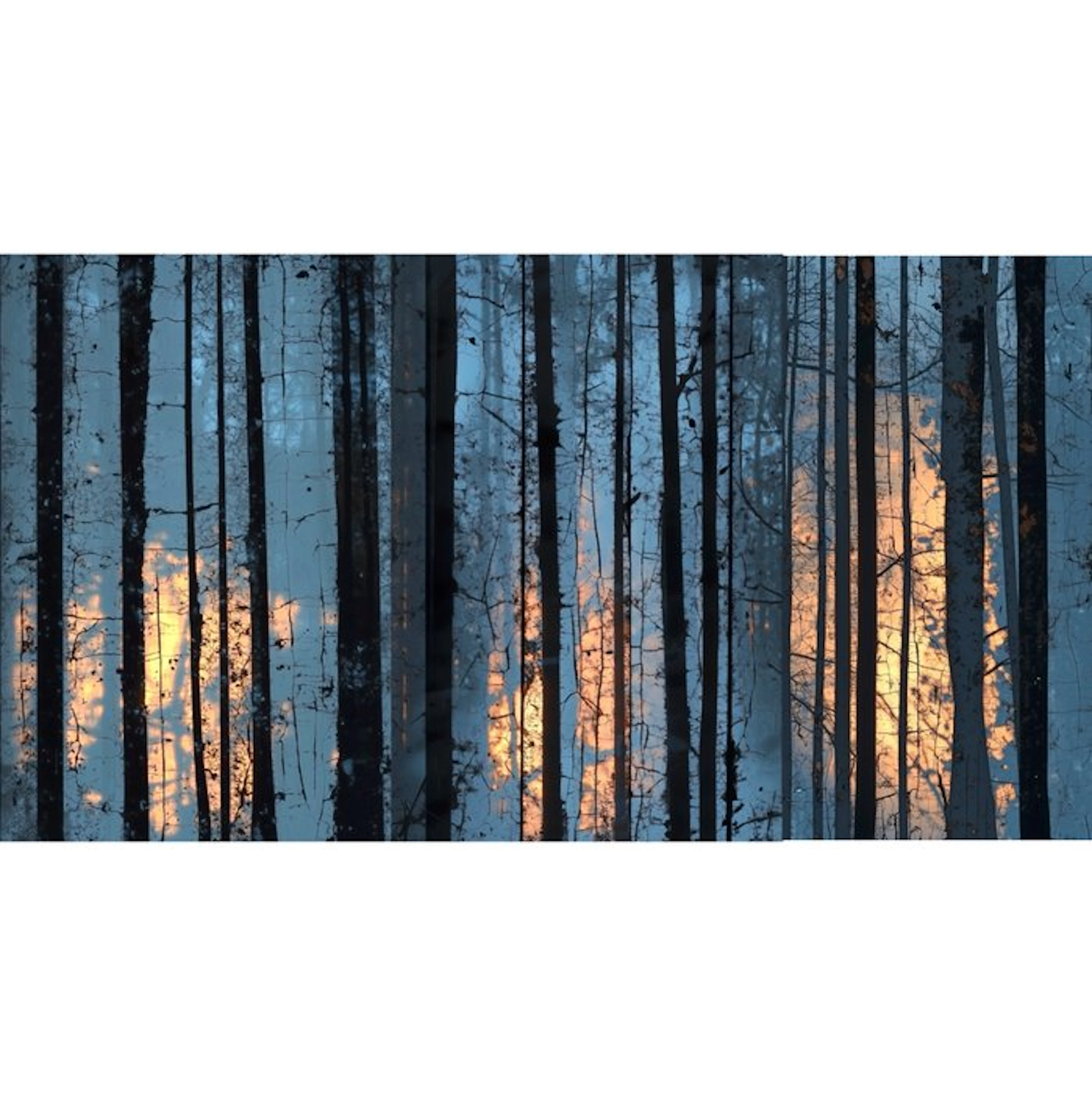 Jorge Omeñaca (1981) - Forest on fire - XL