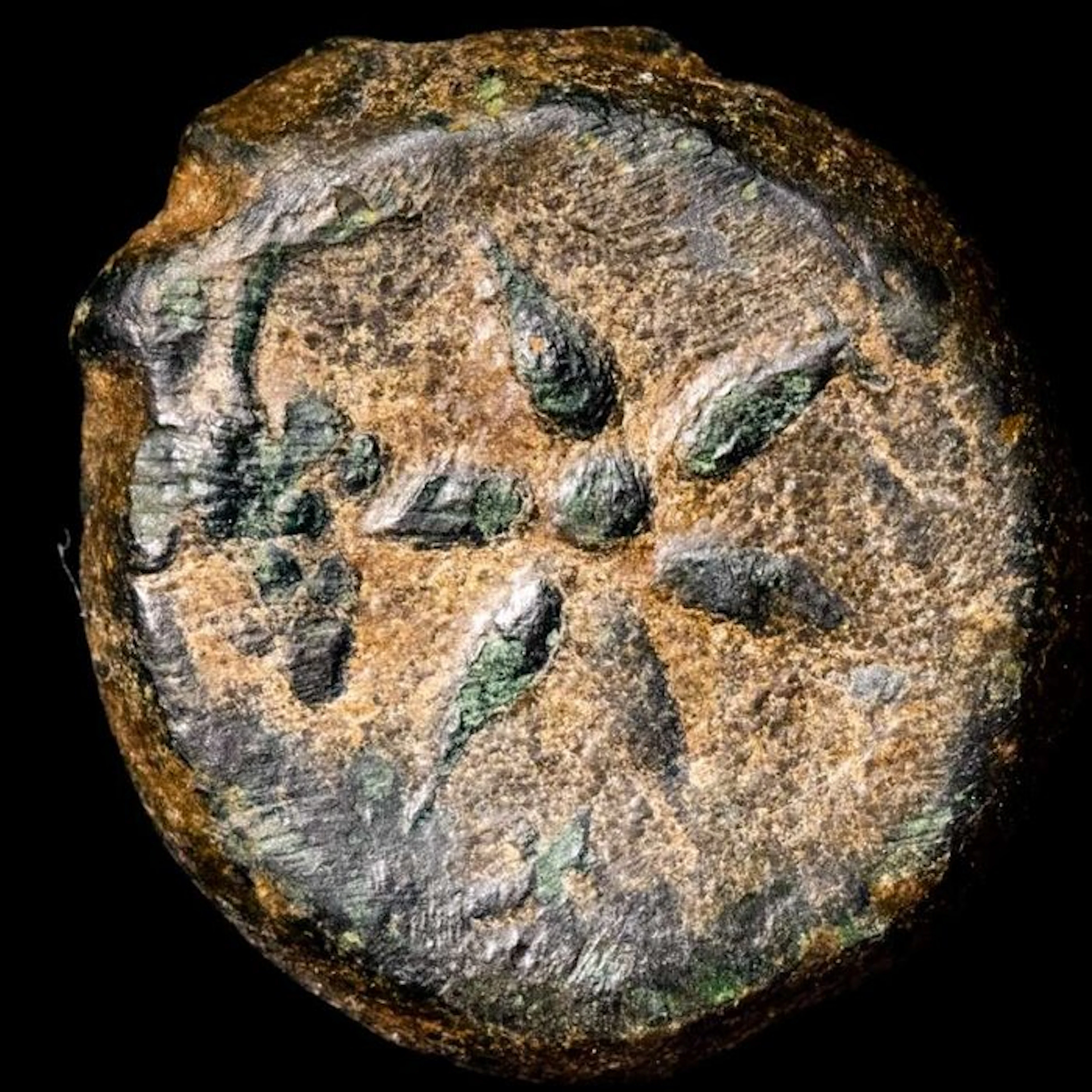 Ancient North Africa - Mauretania Unit Boccus I and successors