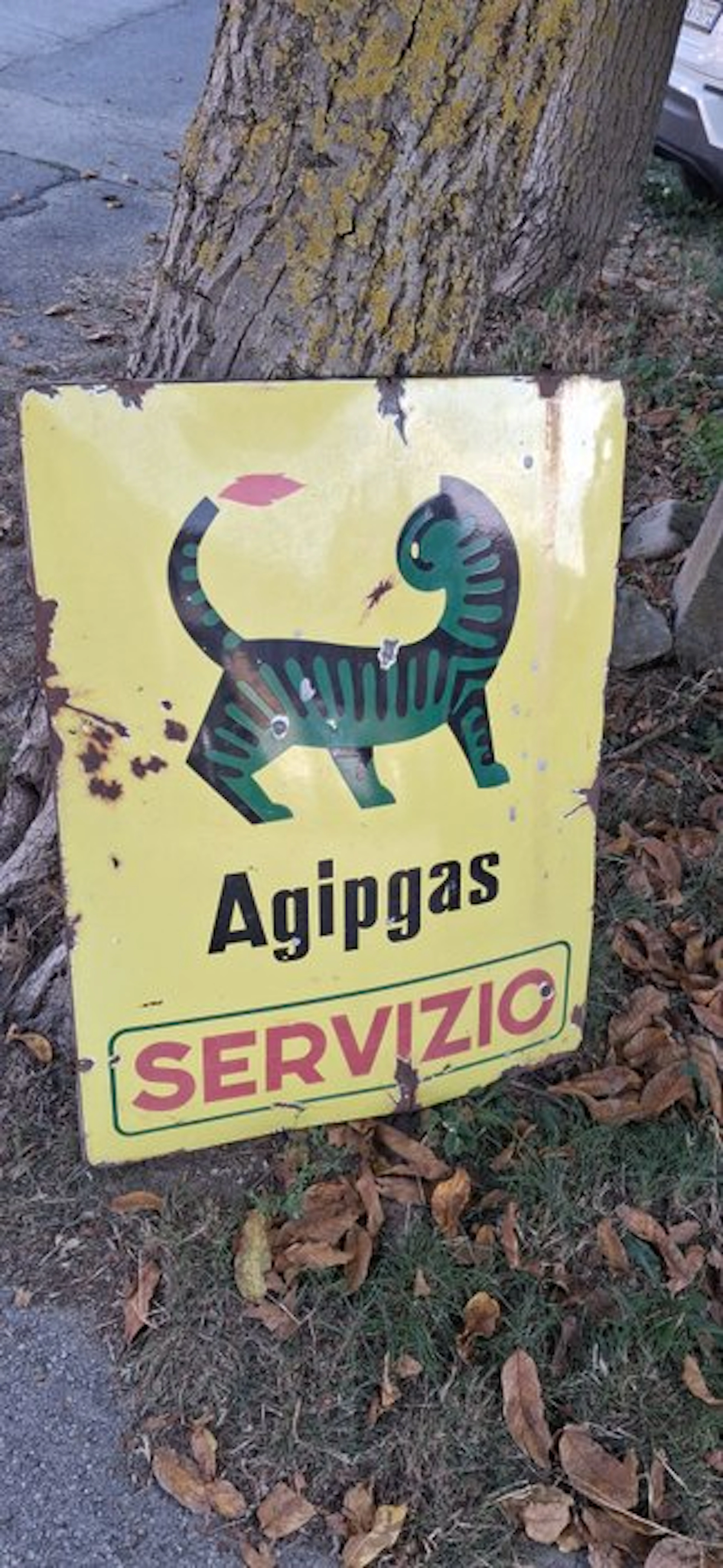 Agip Distributore benzina - Agipgas SERVICE - Enamel sign - Enamel