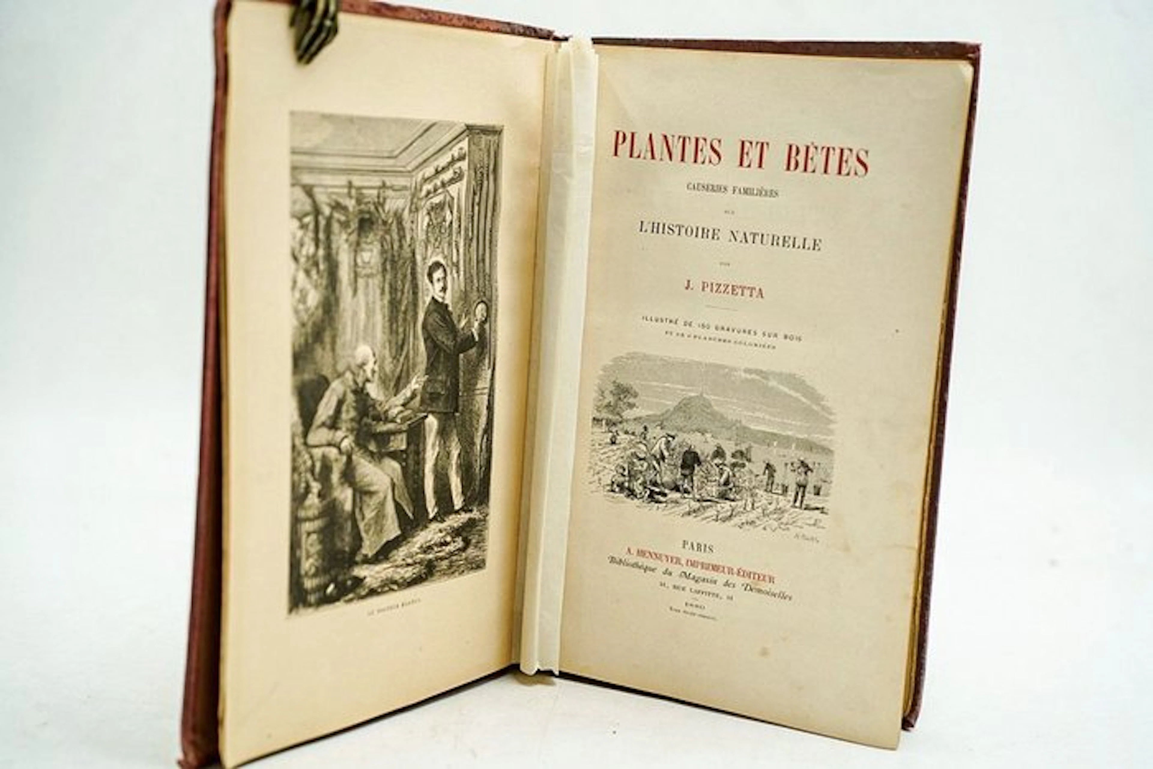 J. Pizzetta - Plantes et bêtes causeries familières sur...
