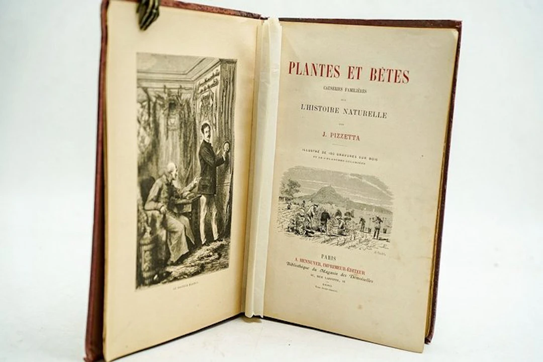 J. Pizzetta - Plantes et bêtes causeries familières sur...
