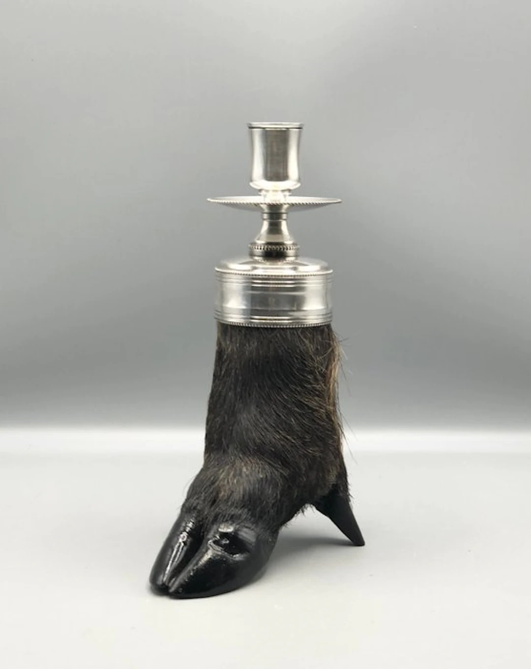 Taperstick - silvered metal - Taxidermy candle holder