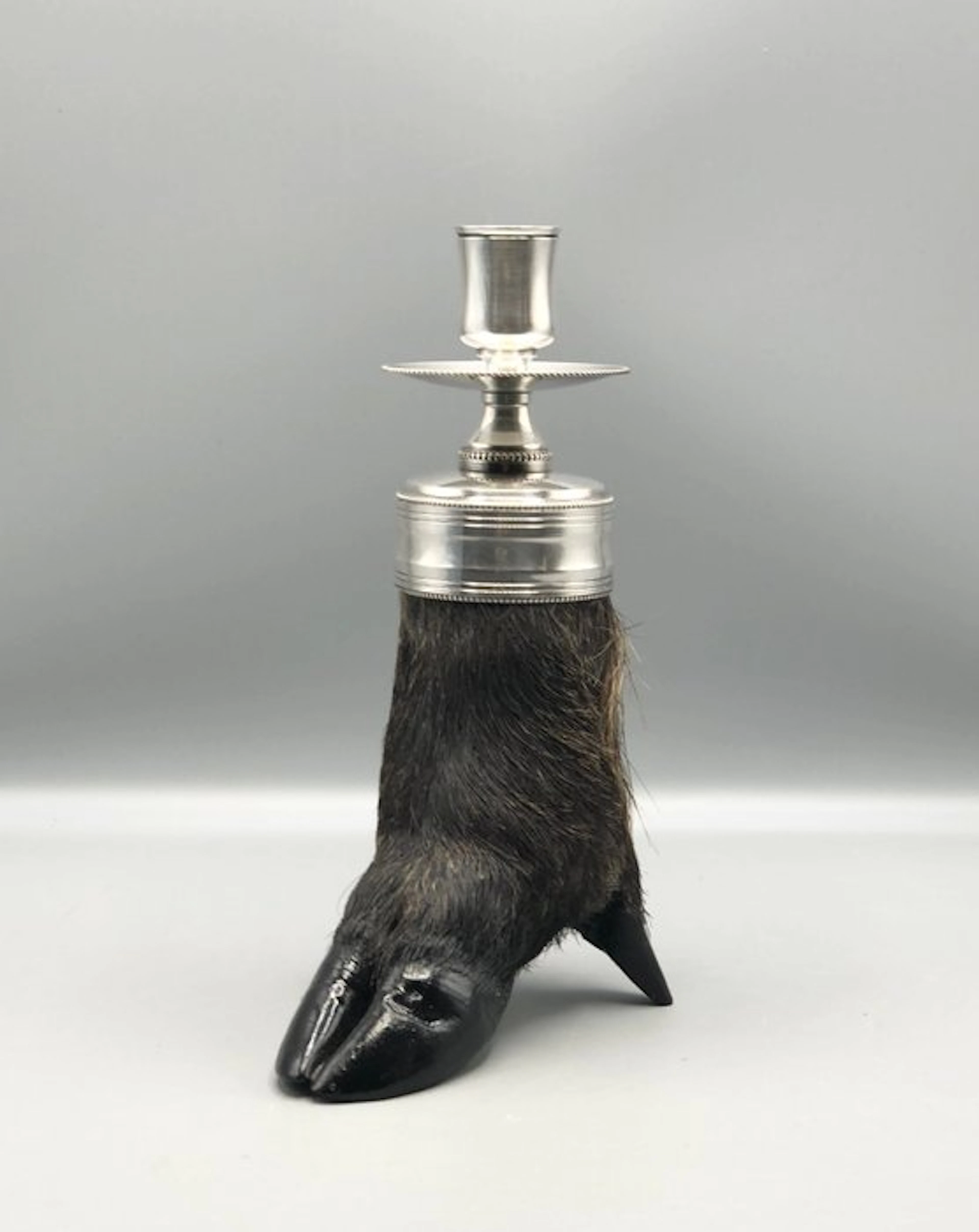 Taperstick - silvered metal - Taxidermy candle holder