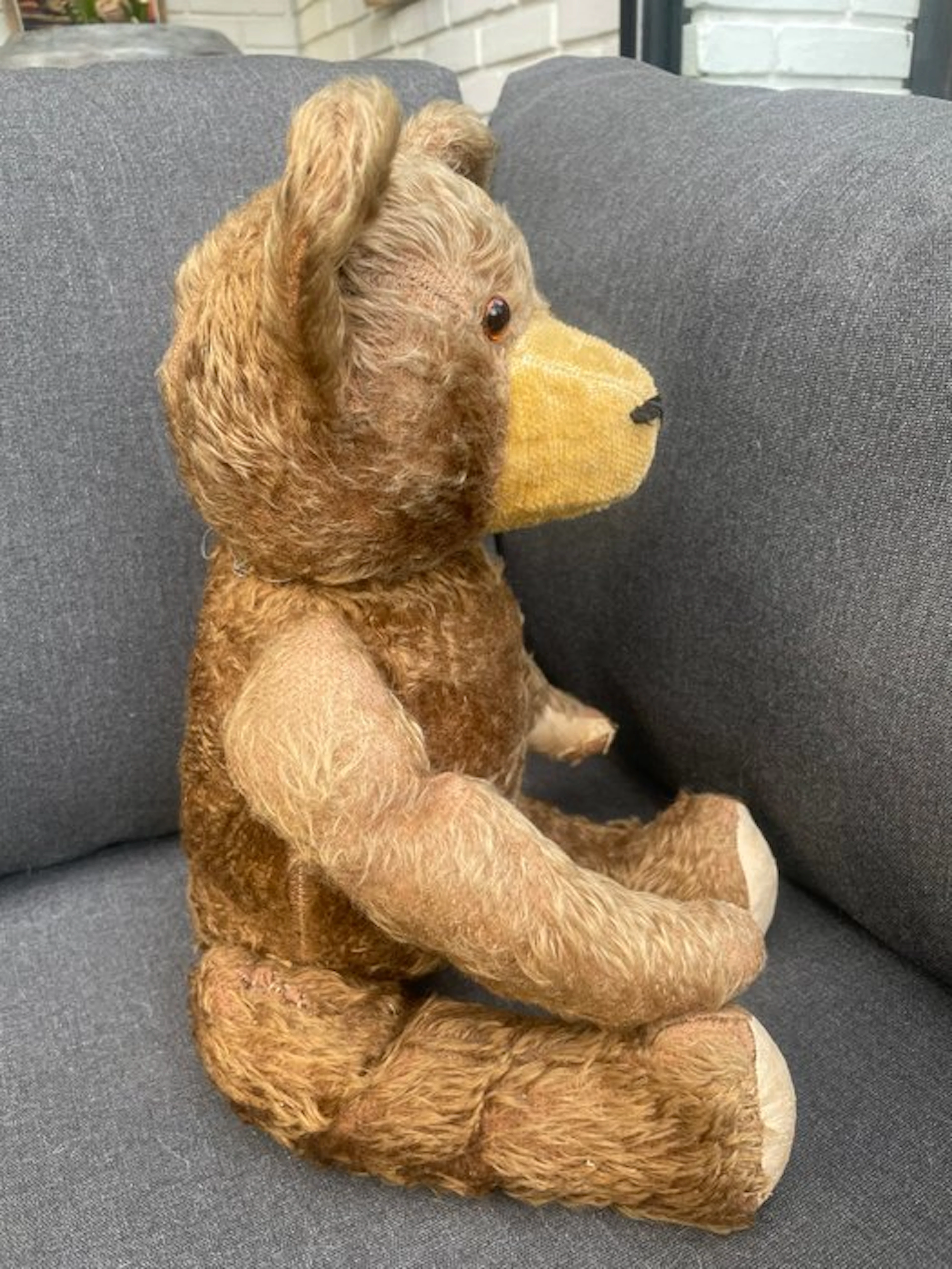 Hermann - Teddy bear Hermann - 1920-1930 - Germany
