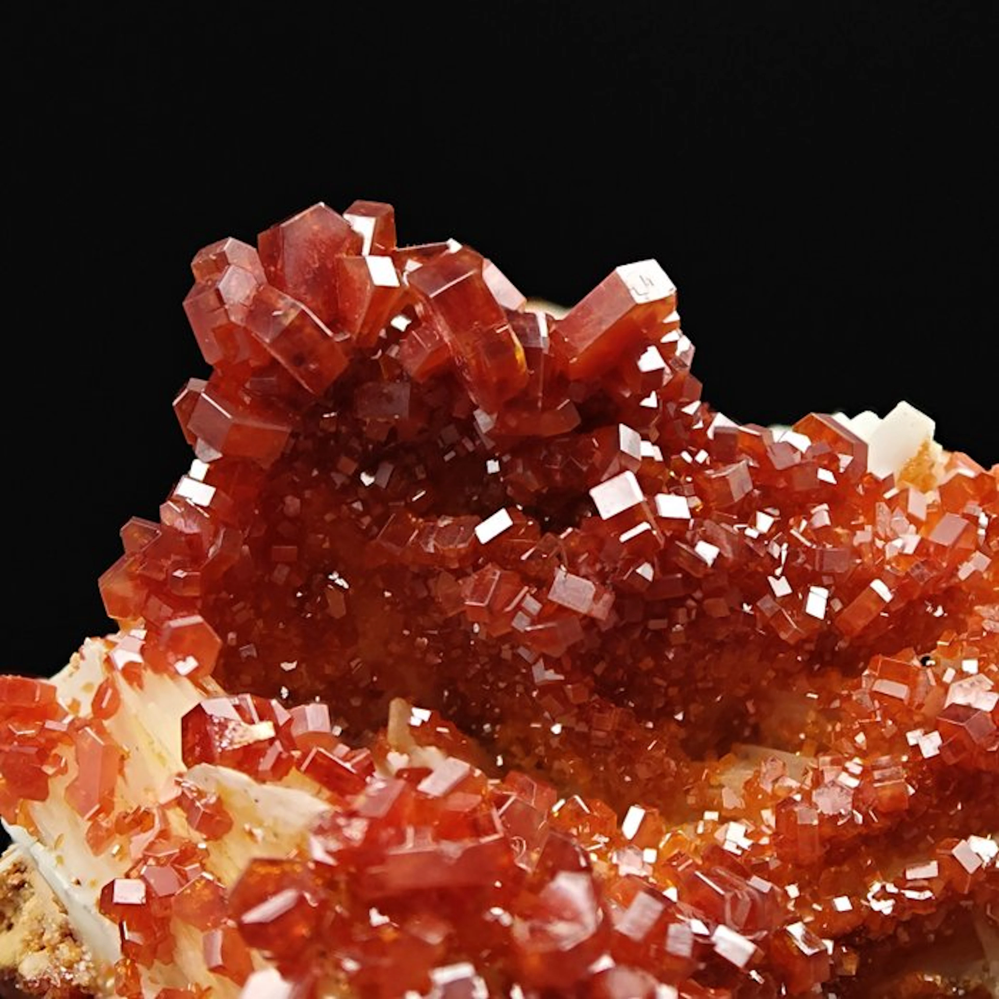 Blood-red vanadinite on white barite Crystals on matrix...