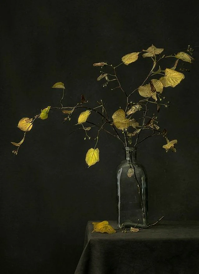 Tessa Posthuma de Boer - Adieu