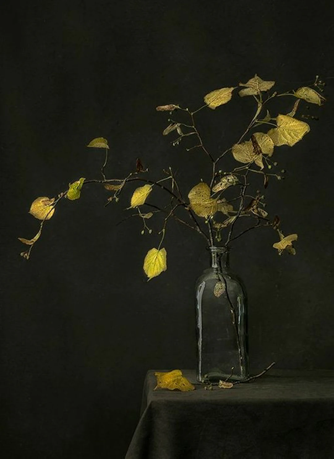 Tessa Posthuma de Boer - Adieu