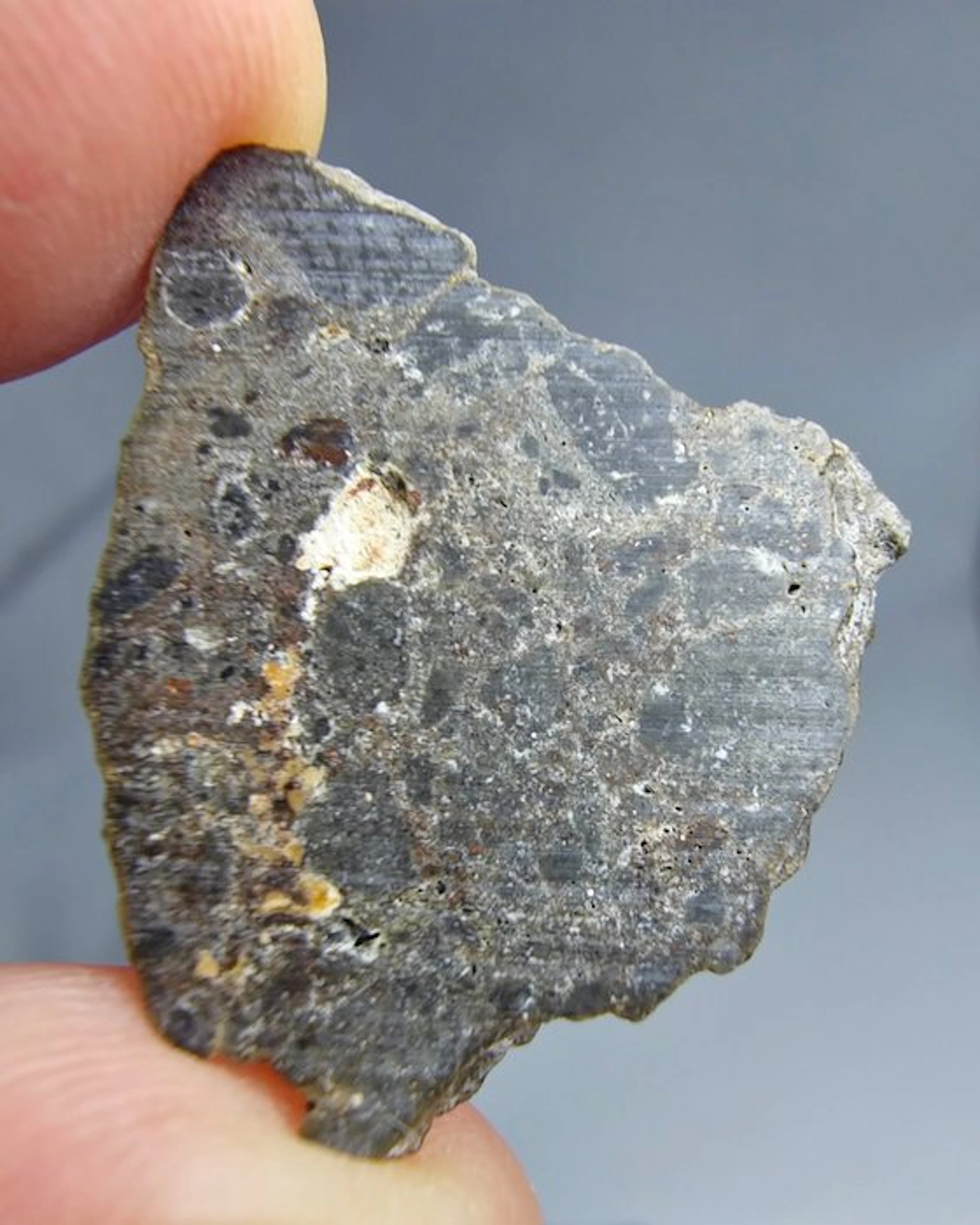 NEA 089, Lunar troctolitic anorthosite melt breccia