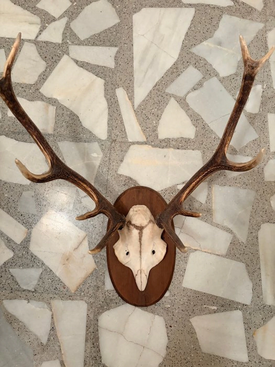 Wall decoration - Spain - Deer head