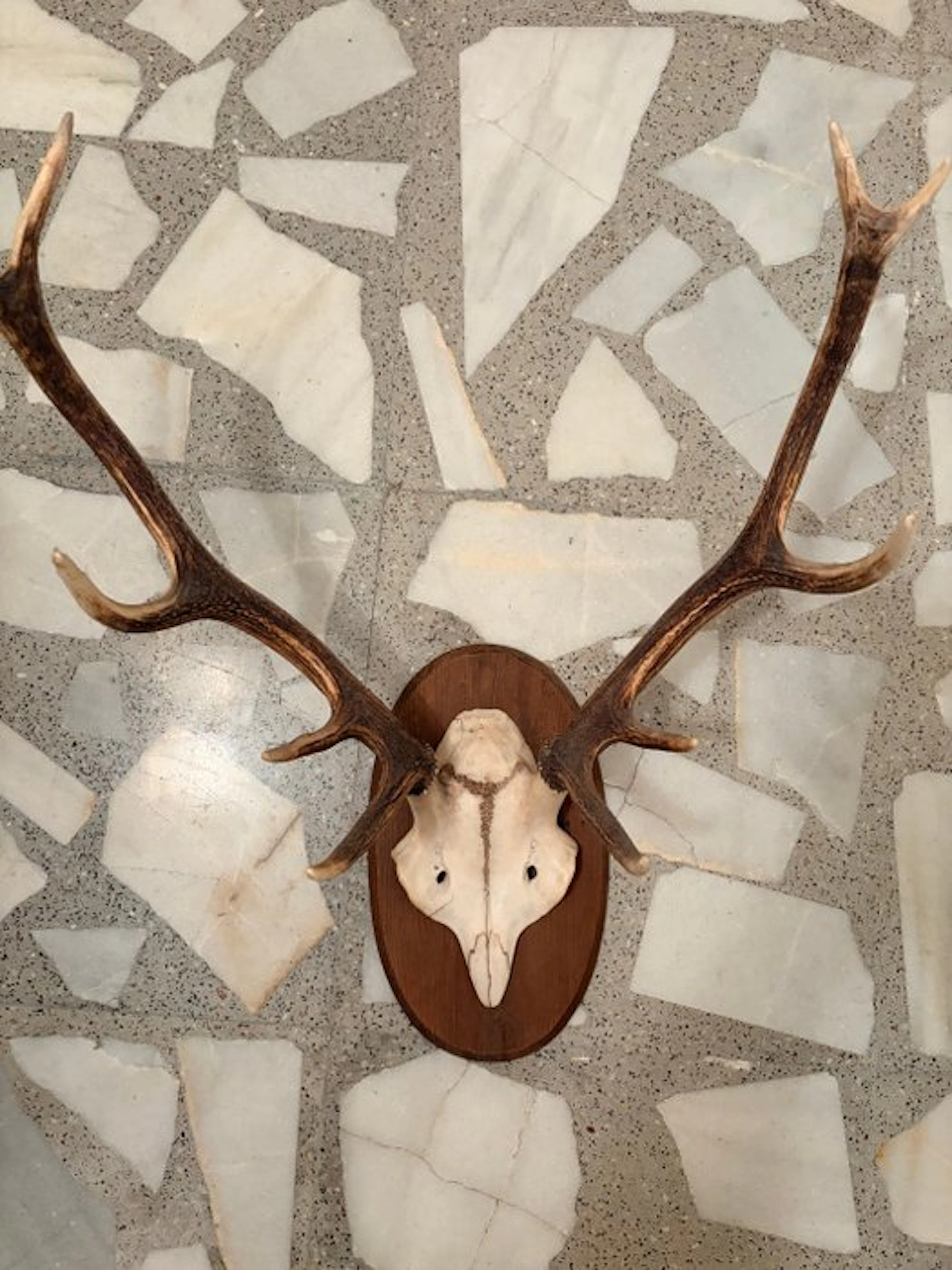 Wall decoration - Spain - Deer head