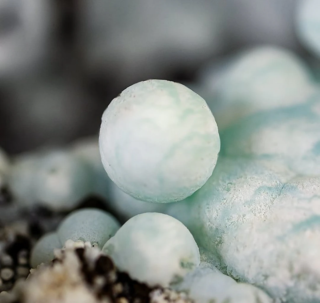 Rare spherical Halloysite with Calcite and Manganite in a vug