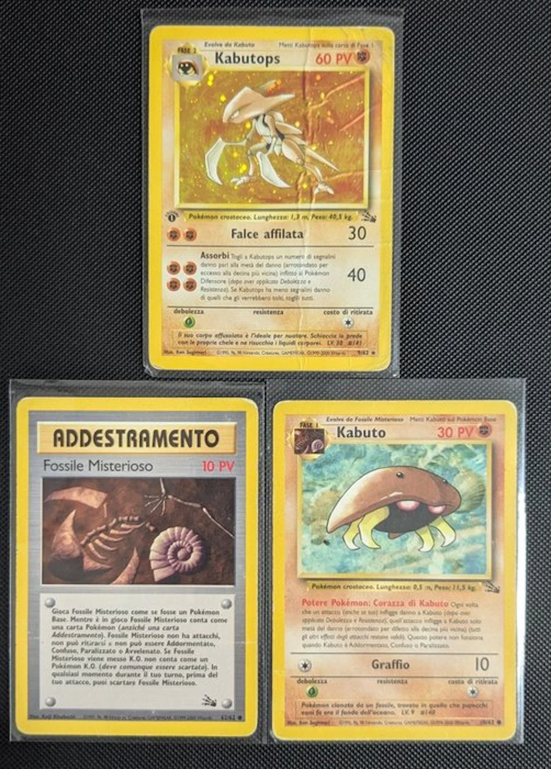 Pokémon - 3 Card - Fossile Misterioso
