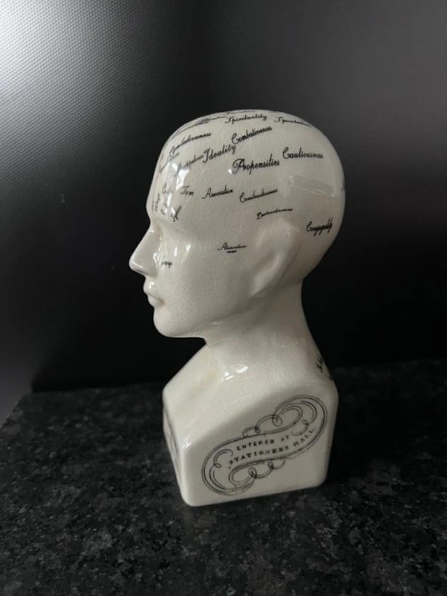 Decorative ornament - Europe - Phrenology Head