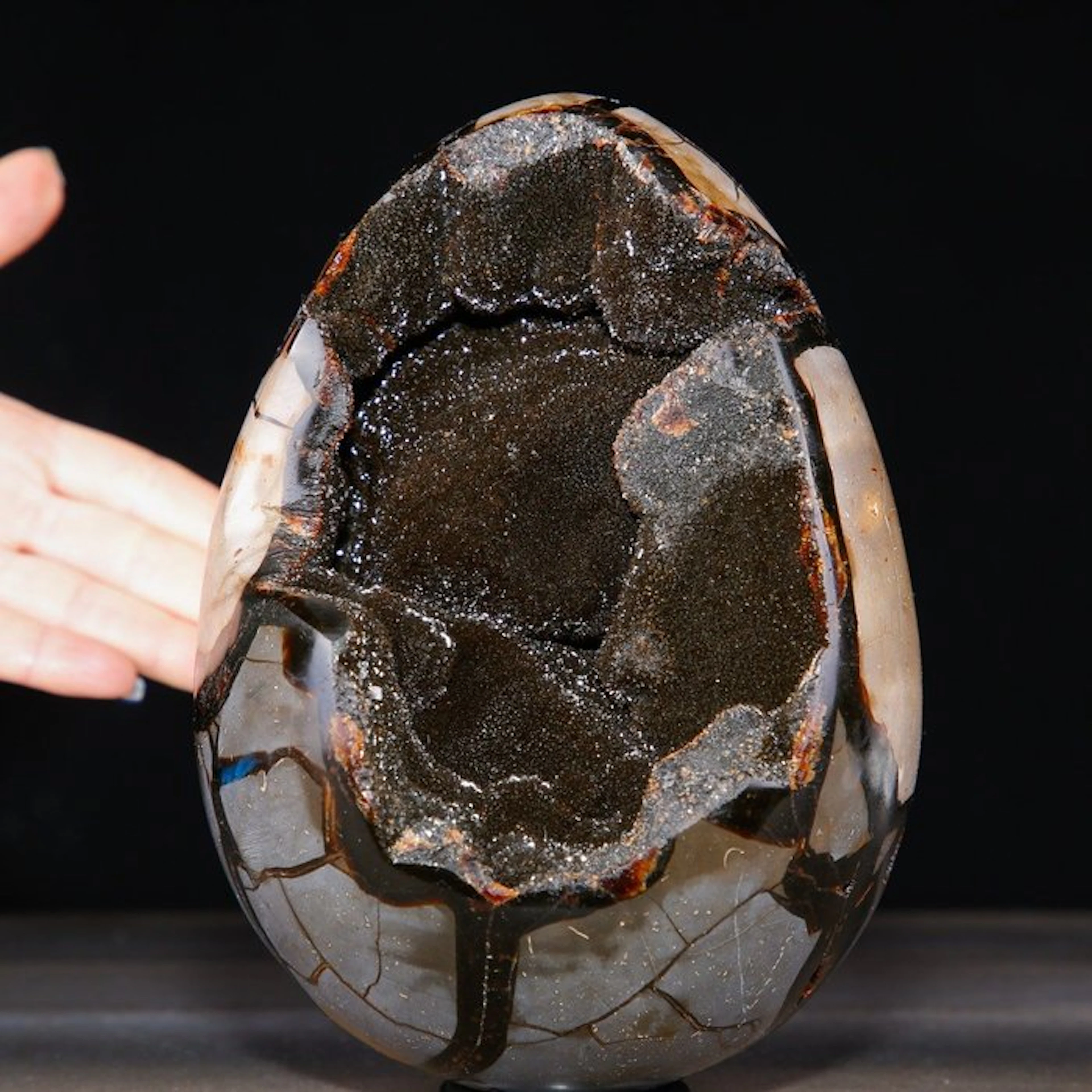 Madagascar Septarian Egg Geode - Deep Cavity of Sparkling...