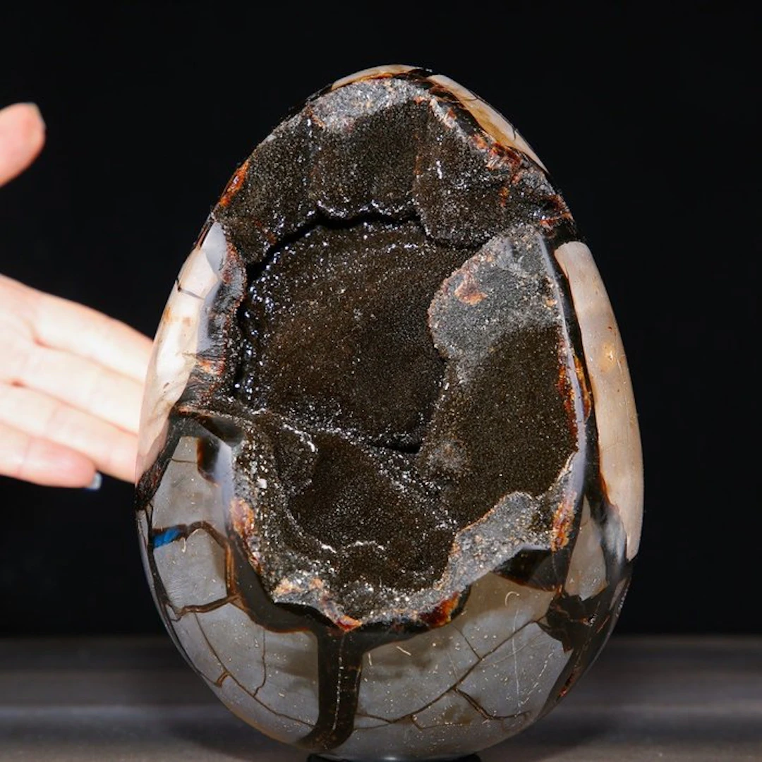 Madagascar Septarian Egg Geode - Deep Cavity of Sparkling...