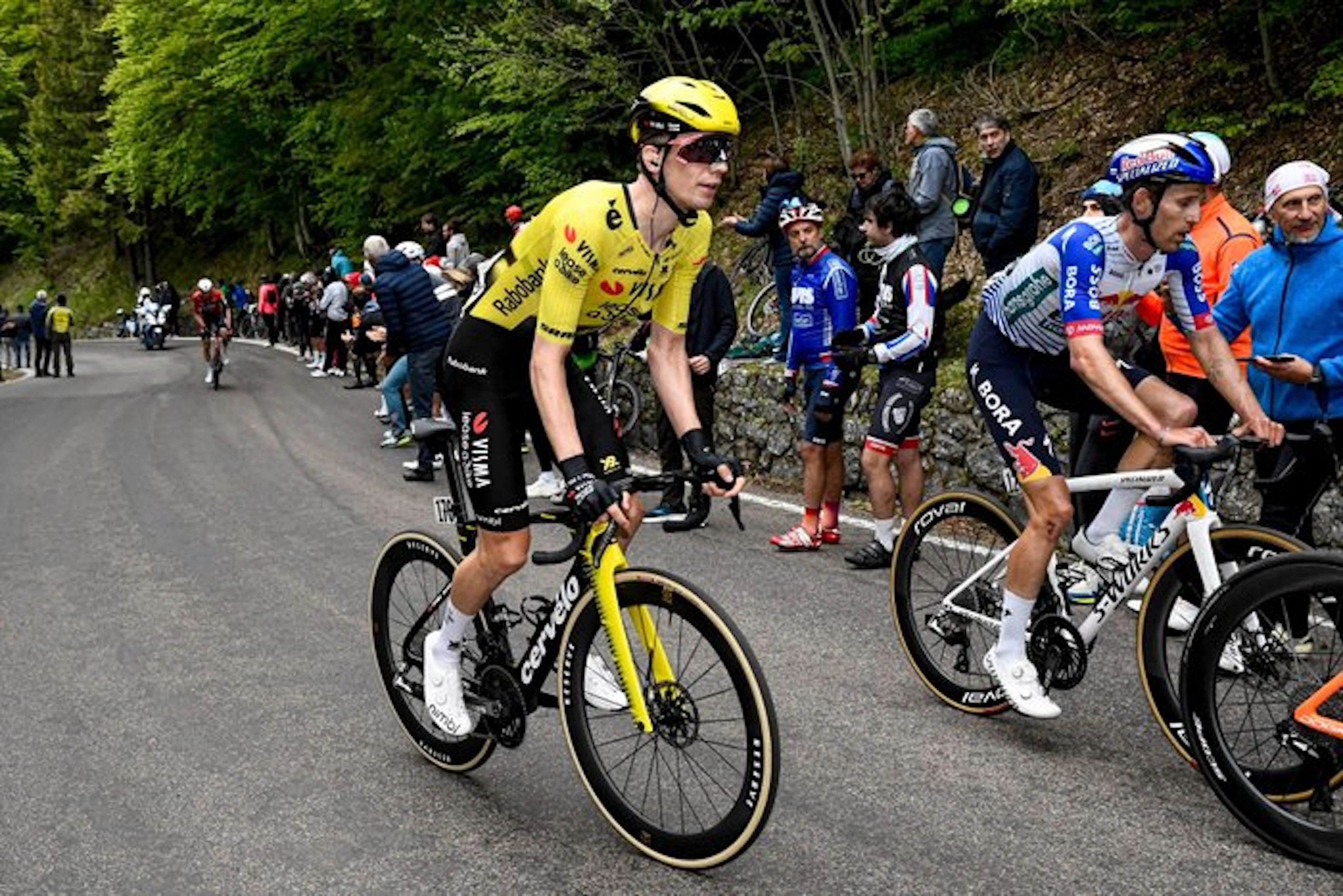 Team Visma | Lease a Bike - Giro d'Italia 2026 - Bart...