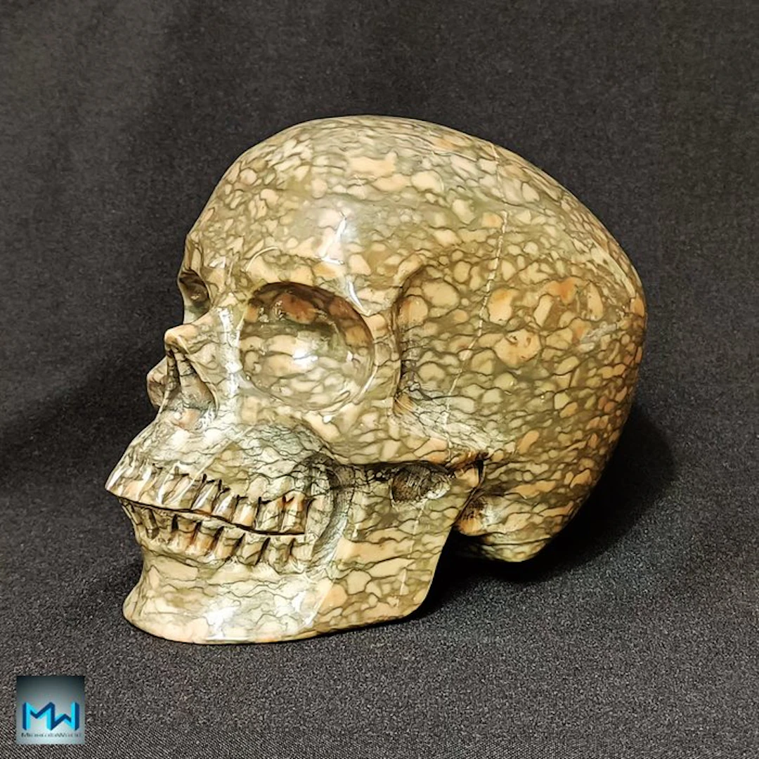 8" Huge Human Skull