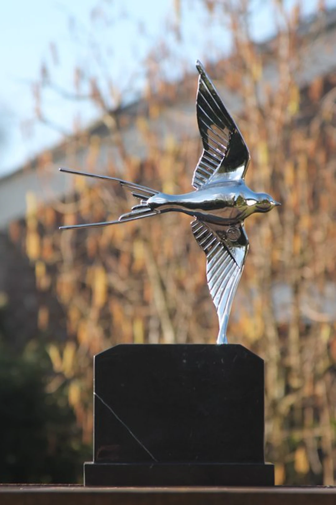 Sculpture, zilverplated bronzen zwaluw - 48 cm - bronze marble