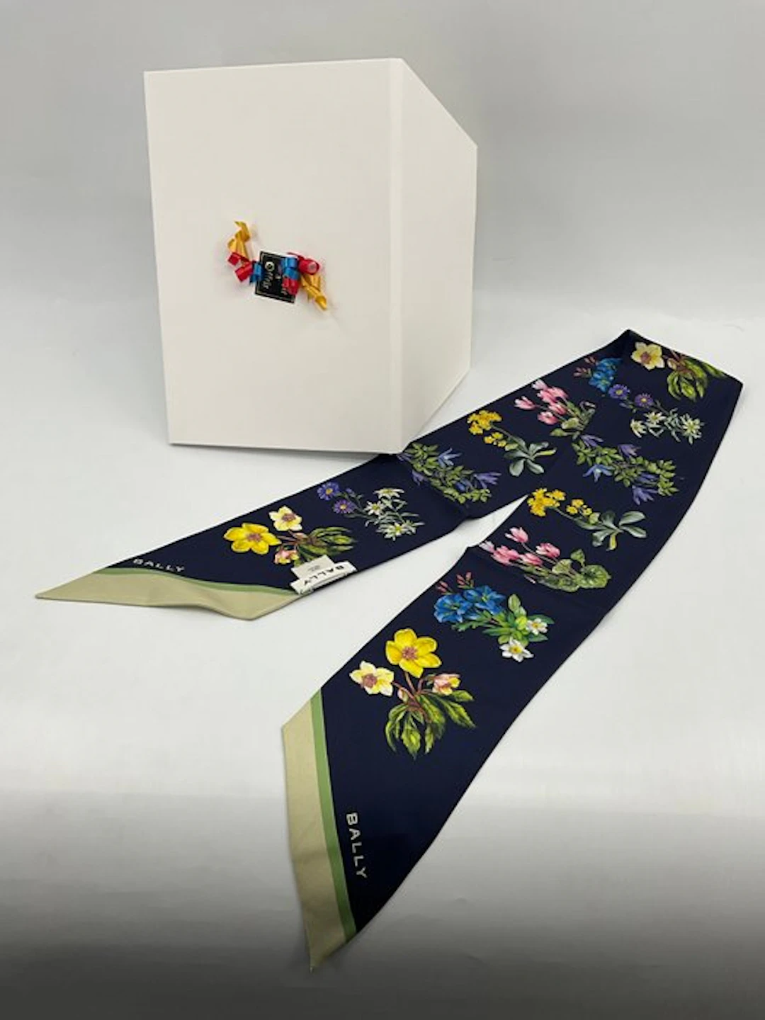 Bally - TWILLYS Double face soie - Scarf