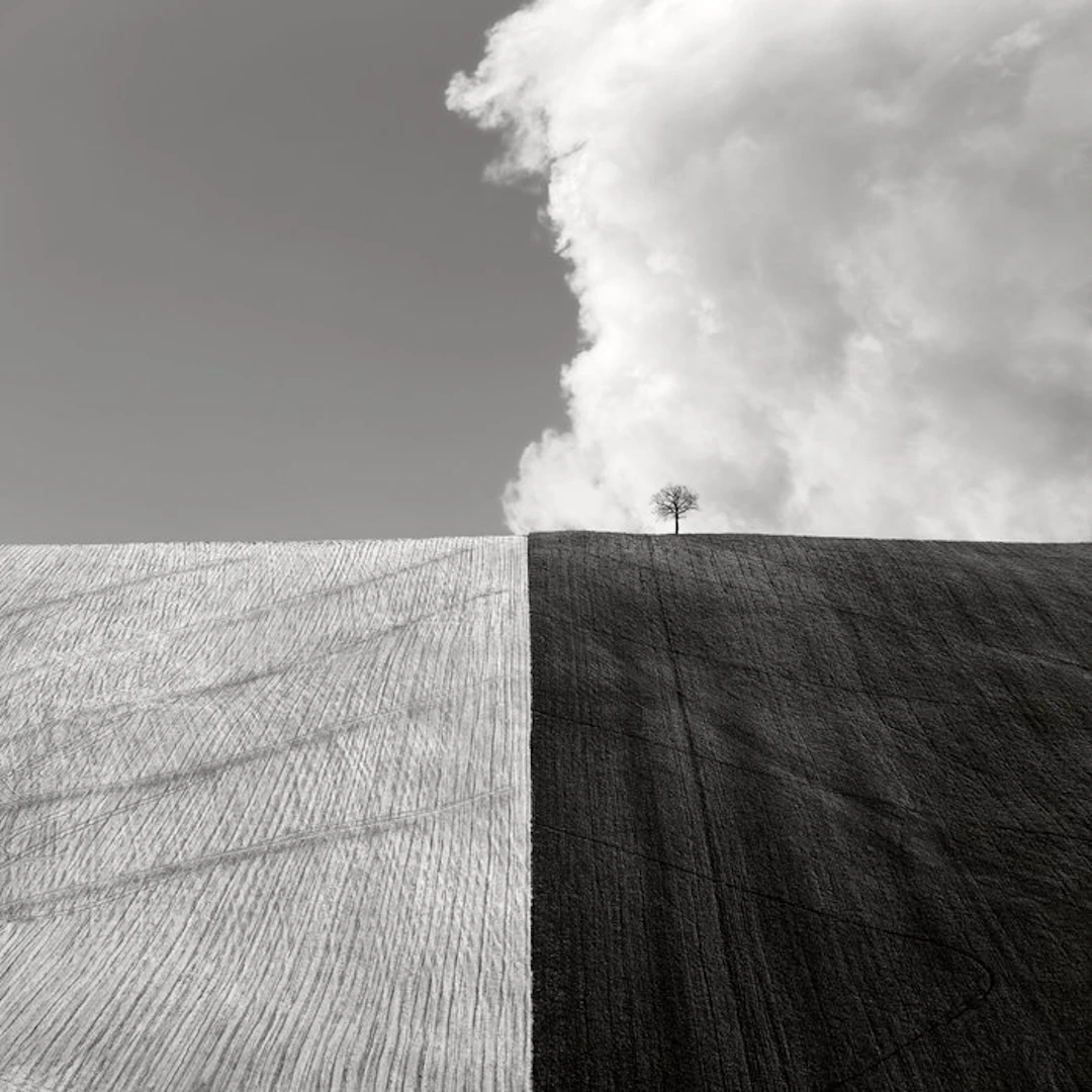 Rosario Civello - Fields #14