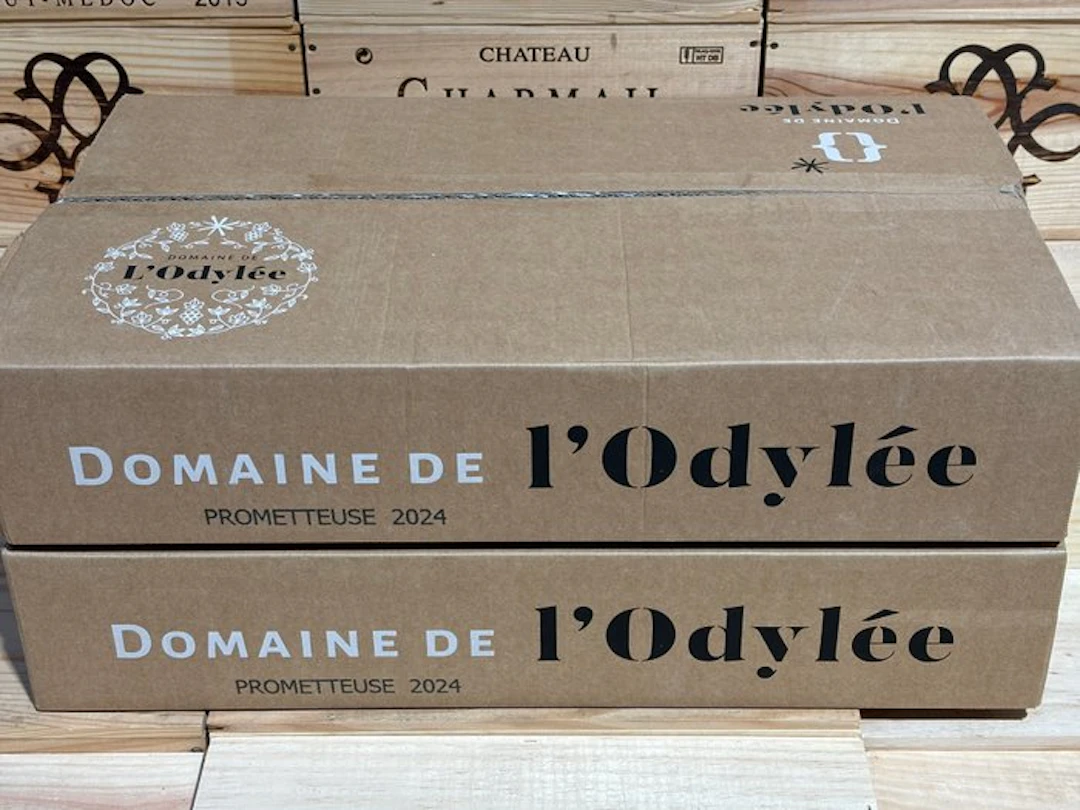 2024 Domaine de l’Odylée cuvée la prometteuse - Cotes du...