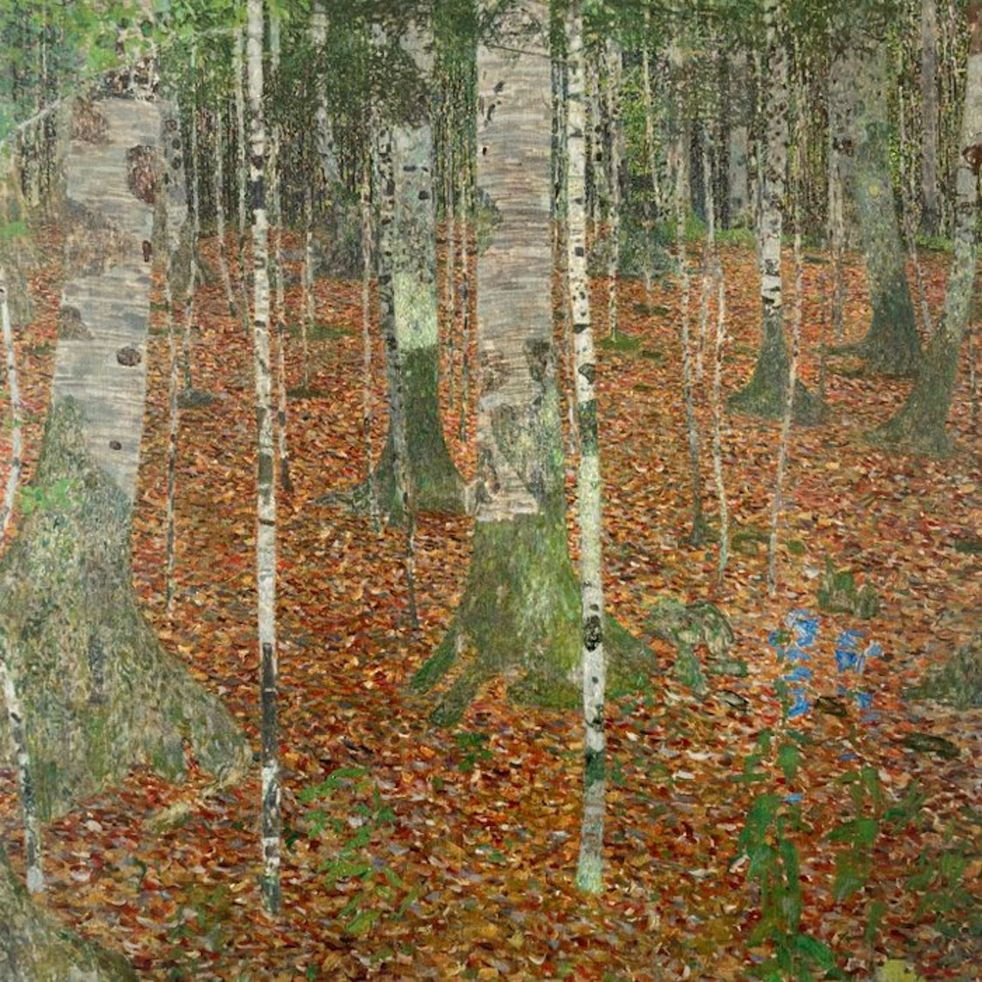 Gustav Klimt (after) - Birch Forest - Fine art giclée - 40x39 - licensed print