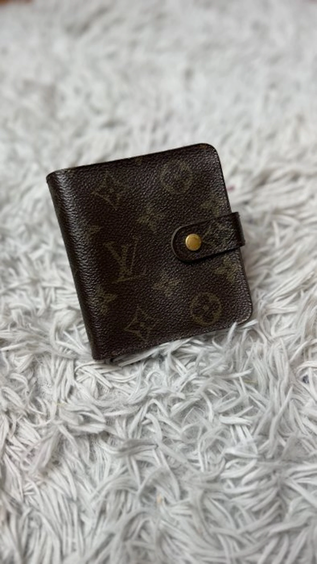 Louis Vuitton - autre - Purse