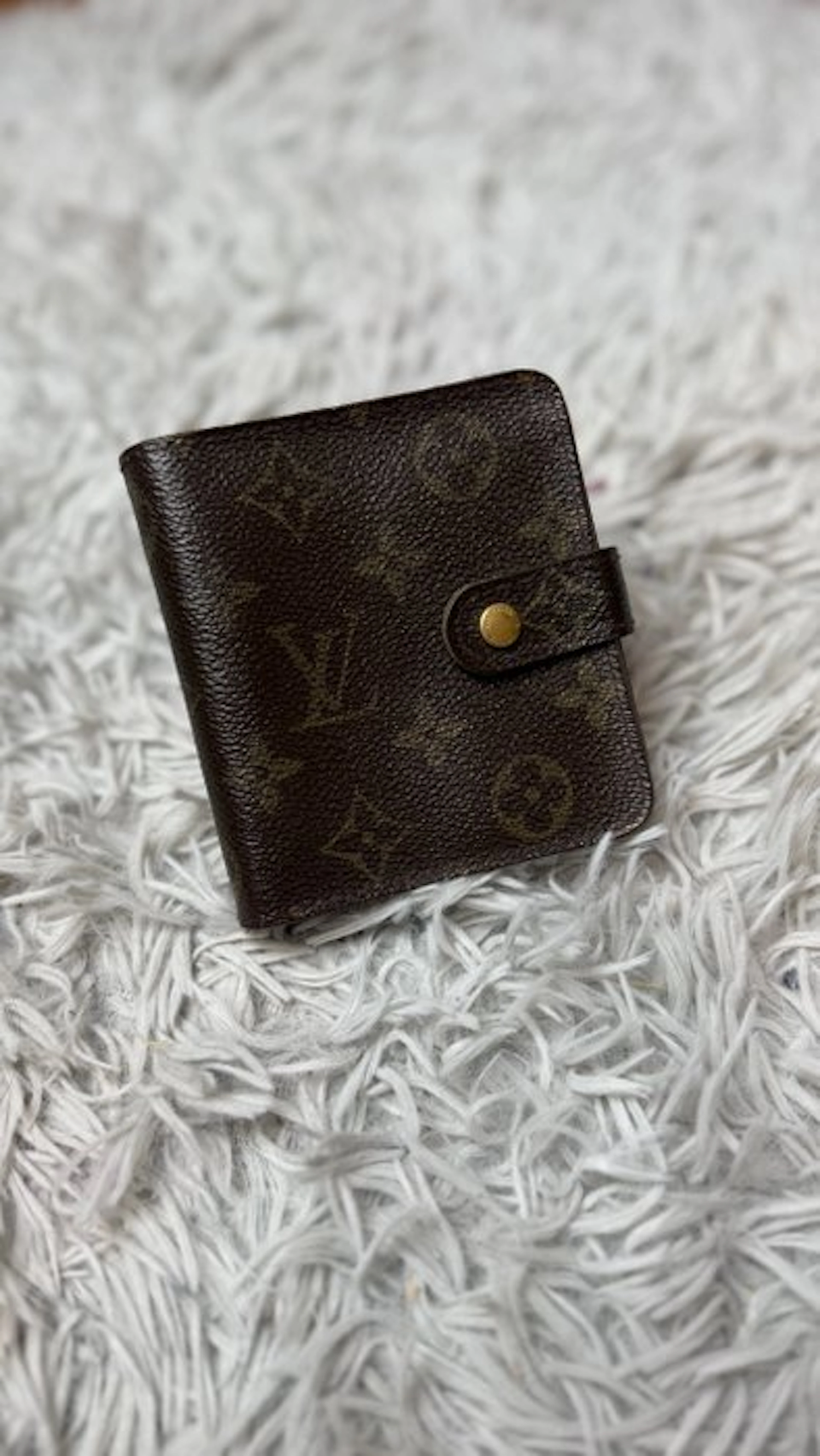 Louis Vuitton - autre - Purse