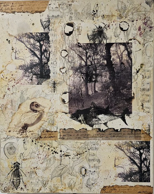 Salvatore Cibelli (1958) - Eco-sistema II