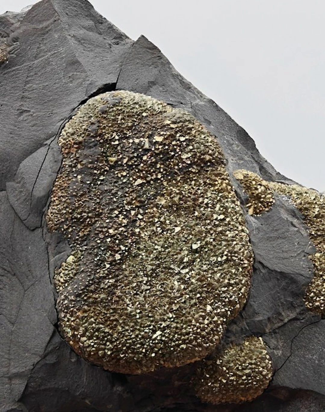 Gilded marcasite nodules with large crystals Crystals on...
