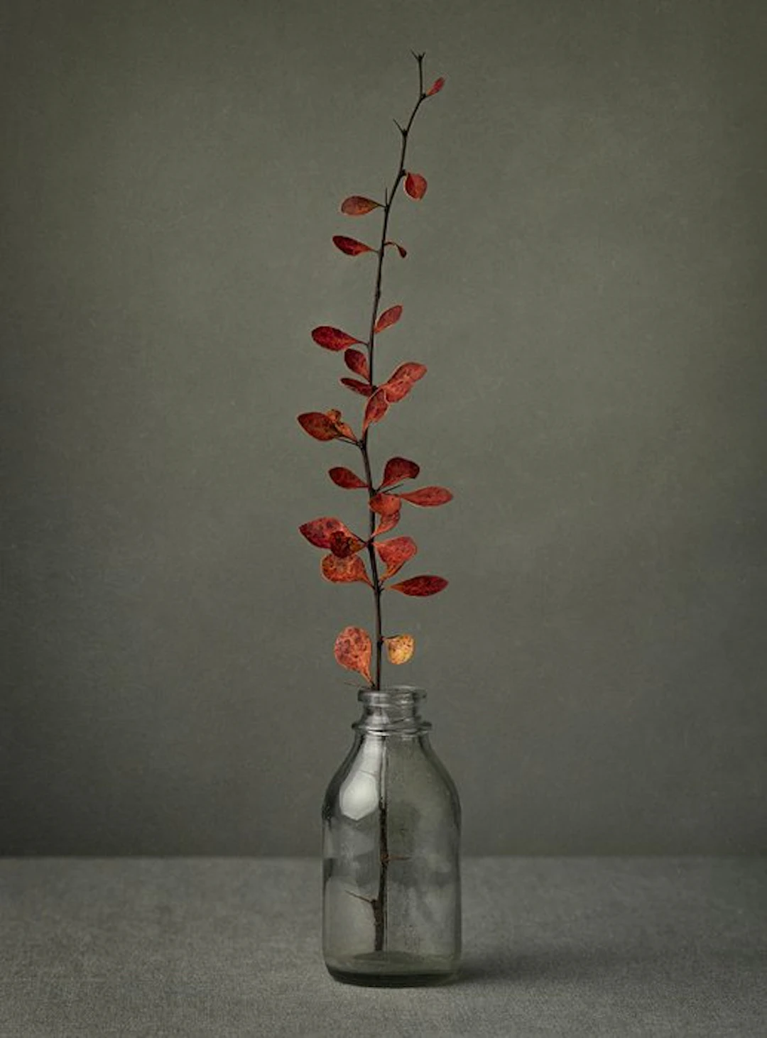 Tessa Posthuma de Boer - Small stories from the Wetlands #2