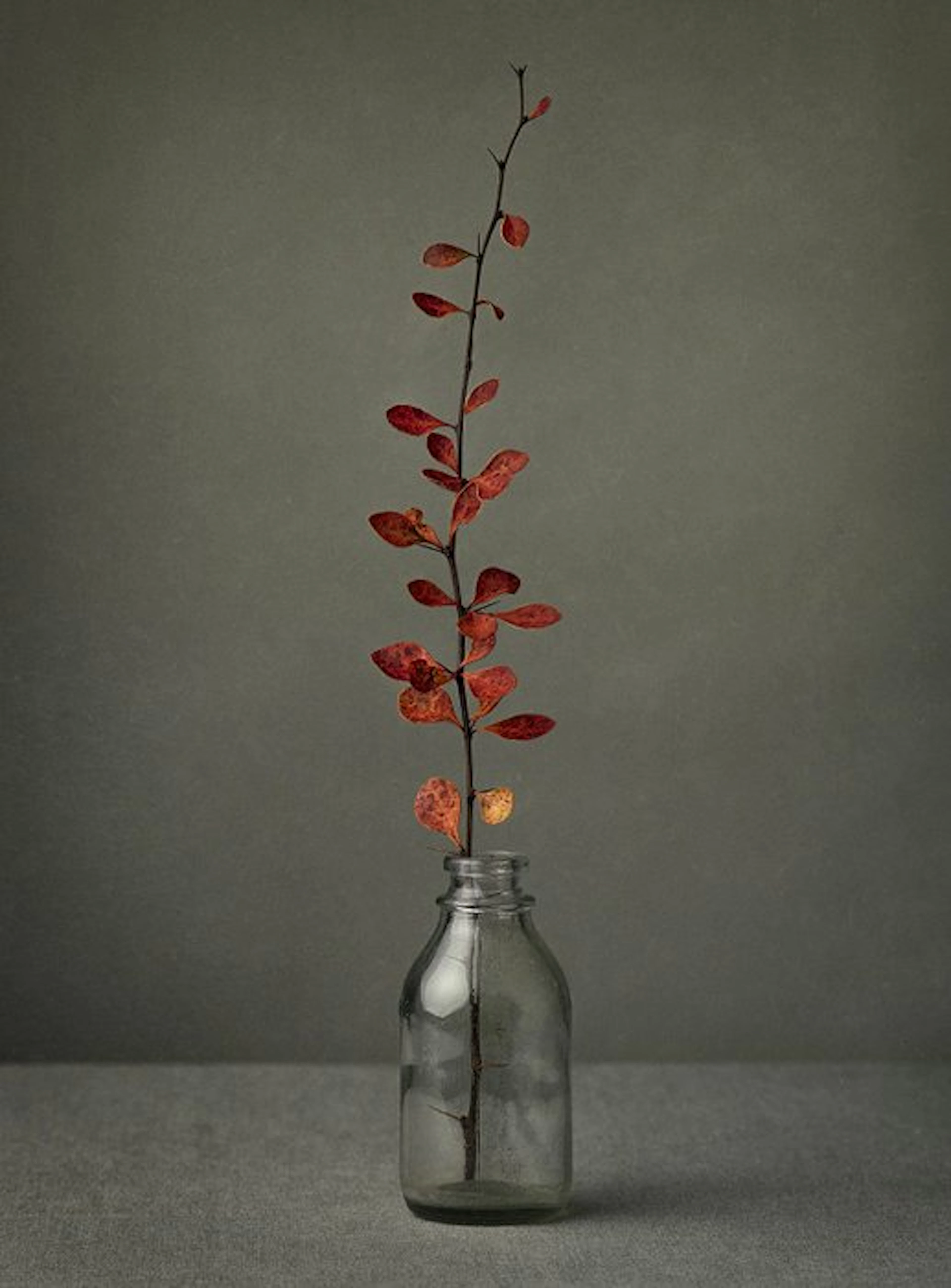 Tessa Posthuma de Boer - Small stories from the Wetlands #2