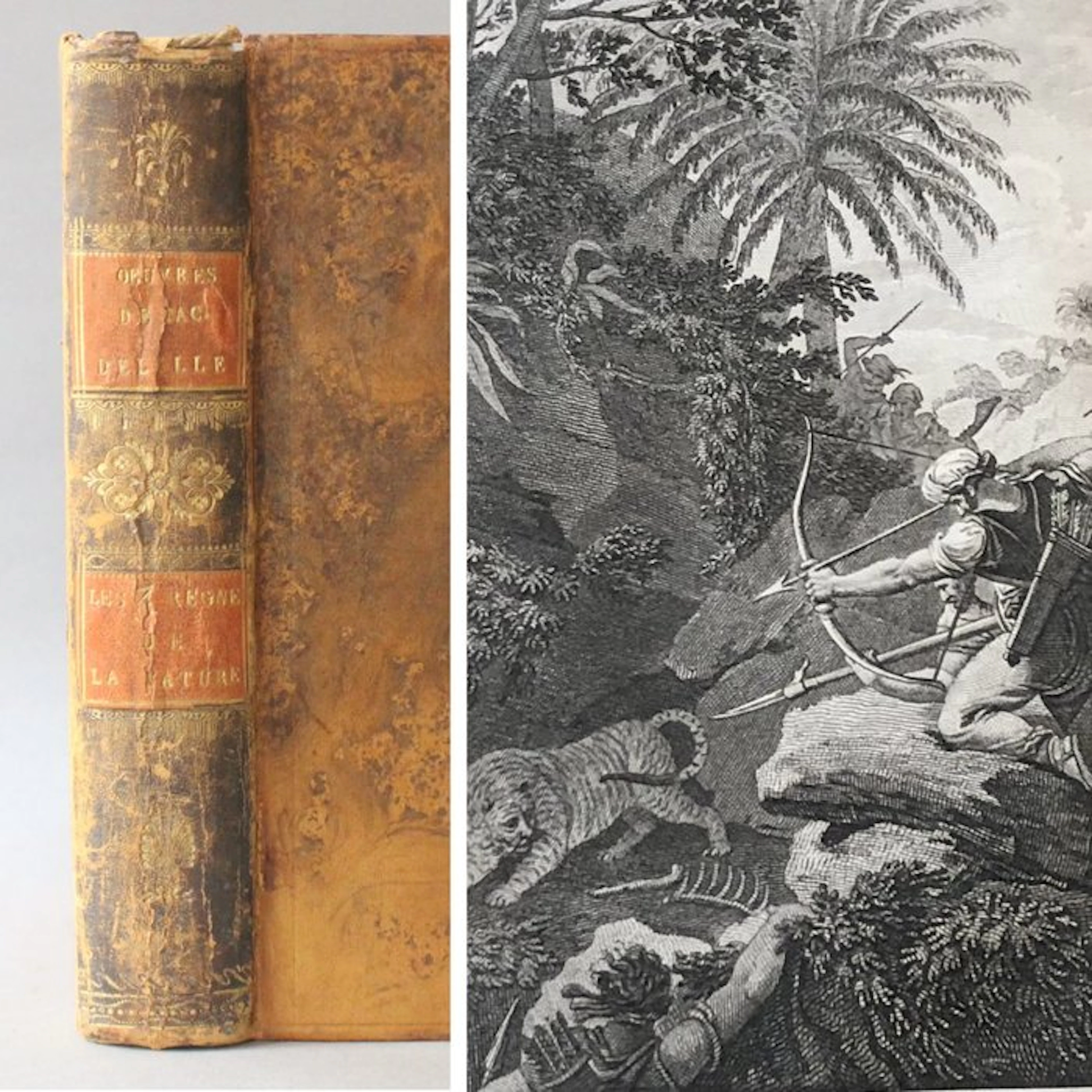 Jacques Delille - Les trois règnes de la nature - 1808