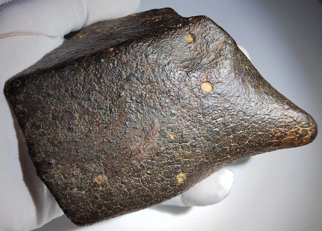 Condrite meteorite NWA XXL - Impressive size- - 1000 g