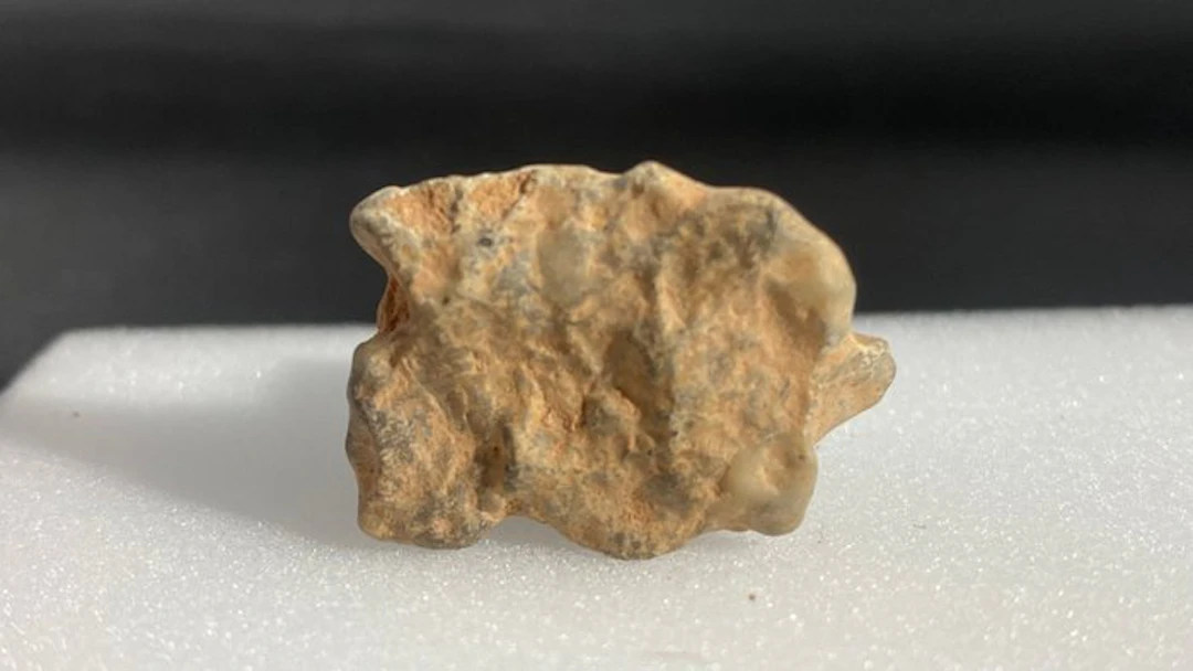 Beautiful lunar (troctolite melt breccia) - 5 g - (1)