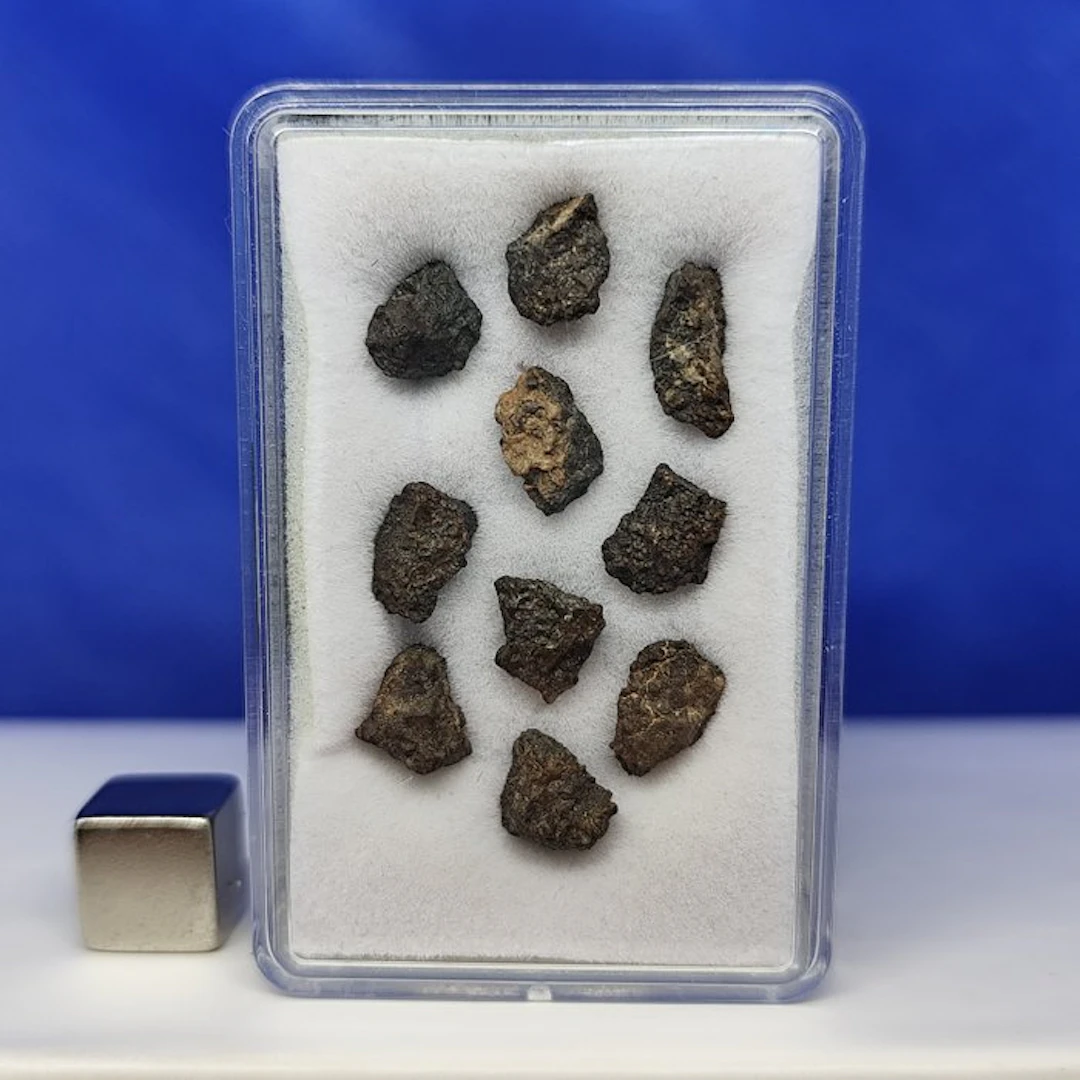 x 10 UREILITE Meteorite -Primitive Achondrite- (With nano...