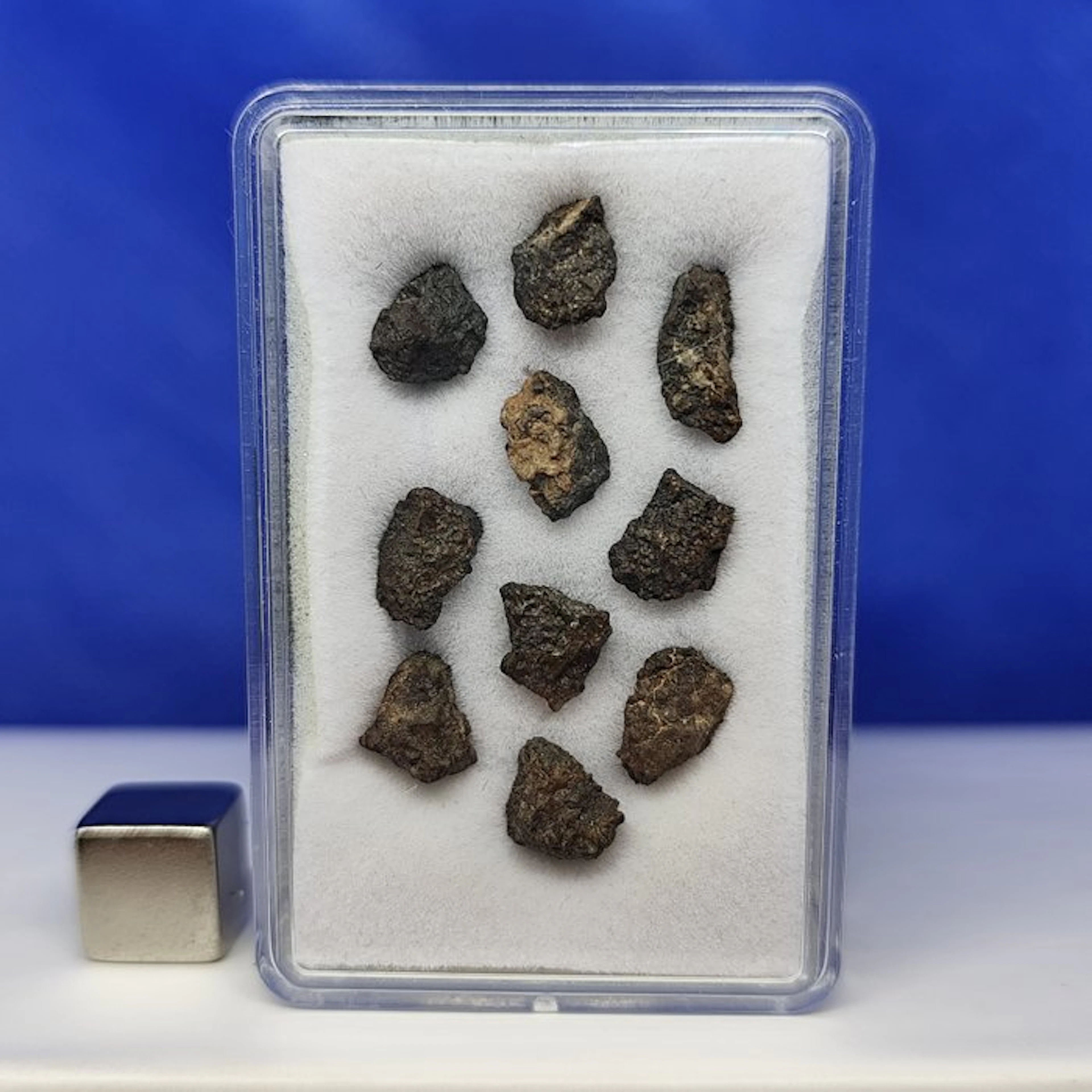 x 10 UREILITE Meteorite -Primitive Achondrite- (With nano...