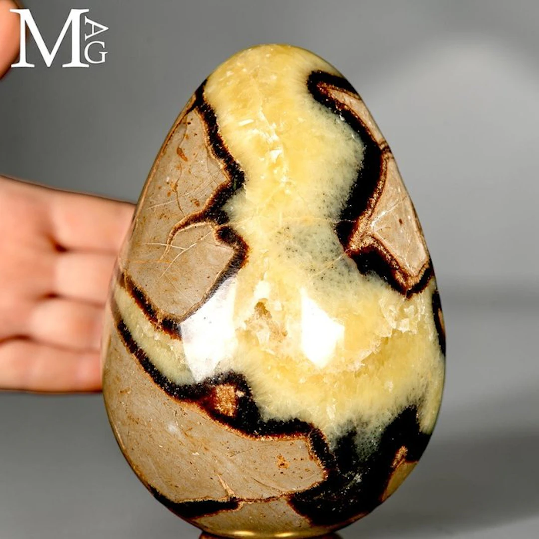 Unique Septarian Egg with Striking Calcite Patterns...