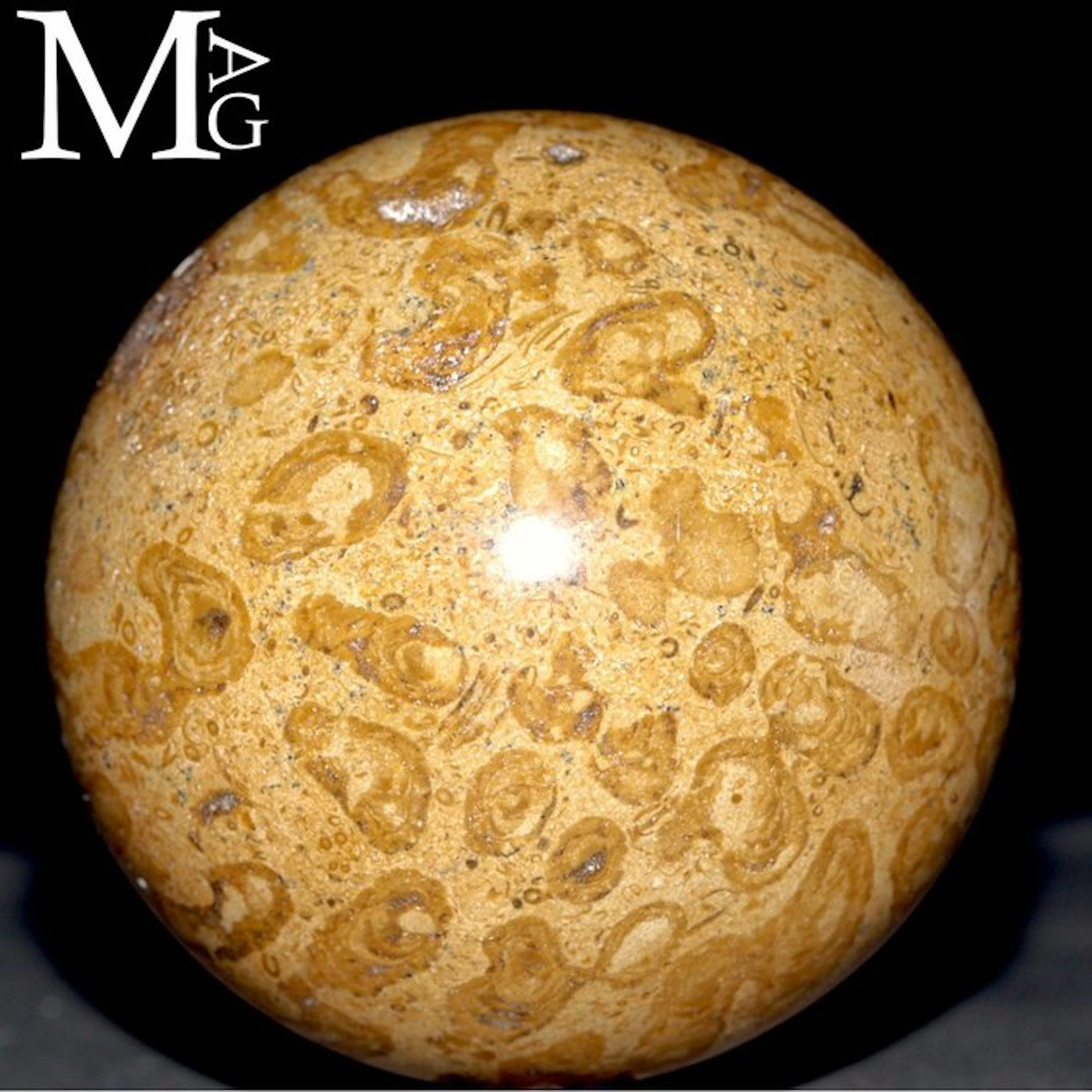 Madagascan Madreporic Fossil Coral Sphere - Cretaceous...