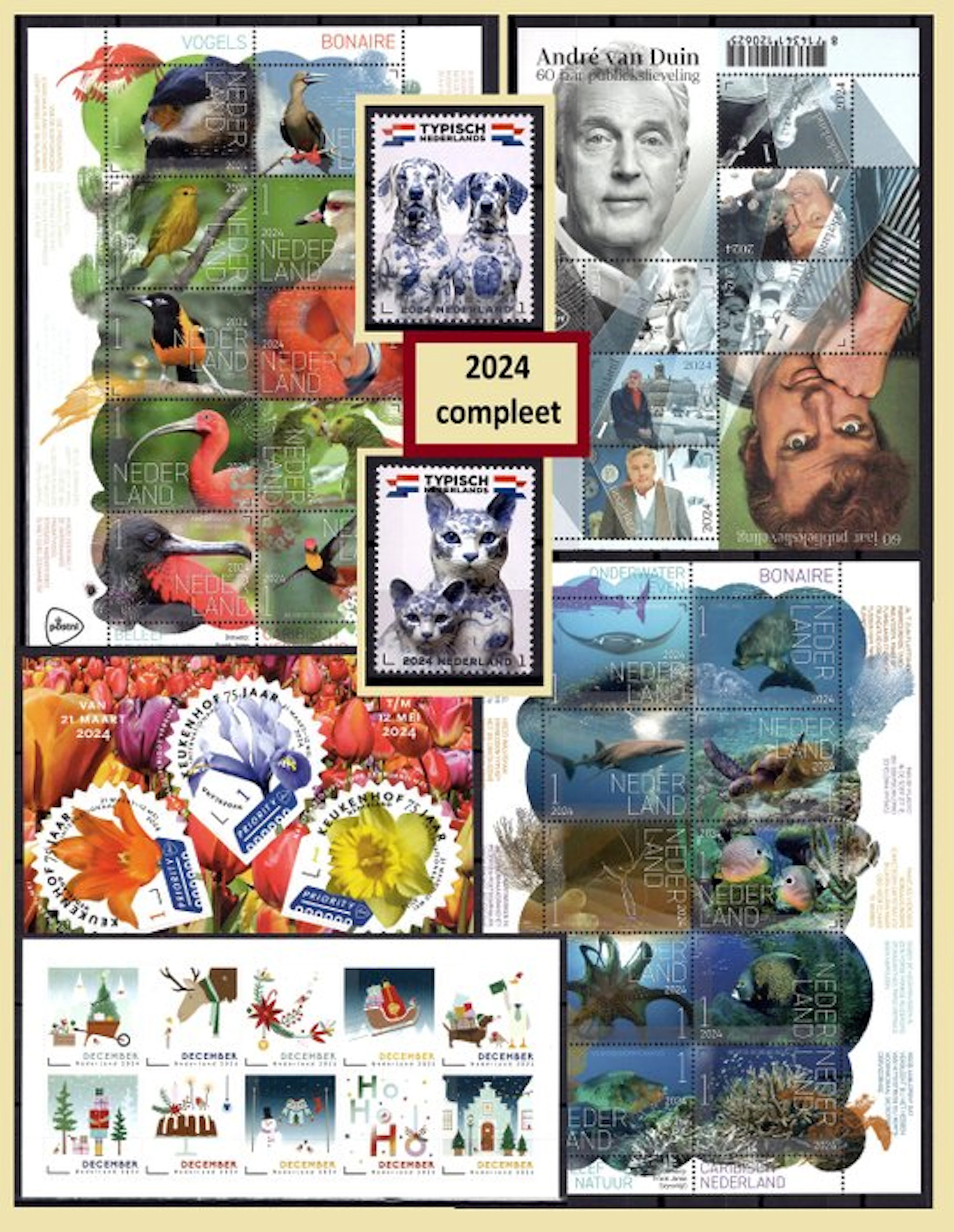 Netherlands 2024 - Complete year, mint.